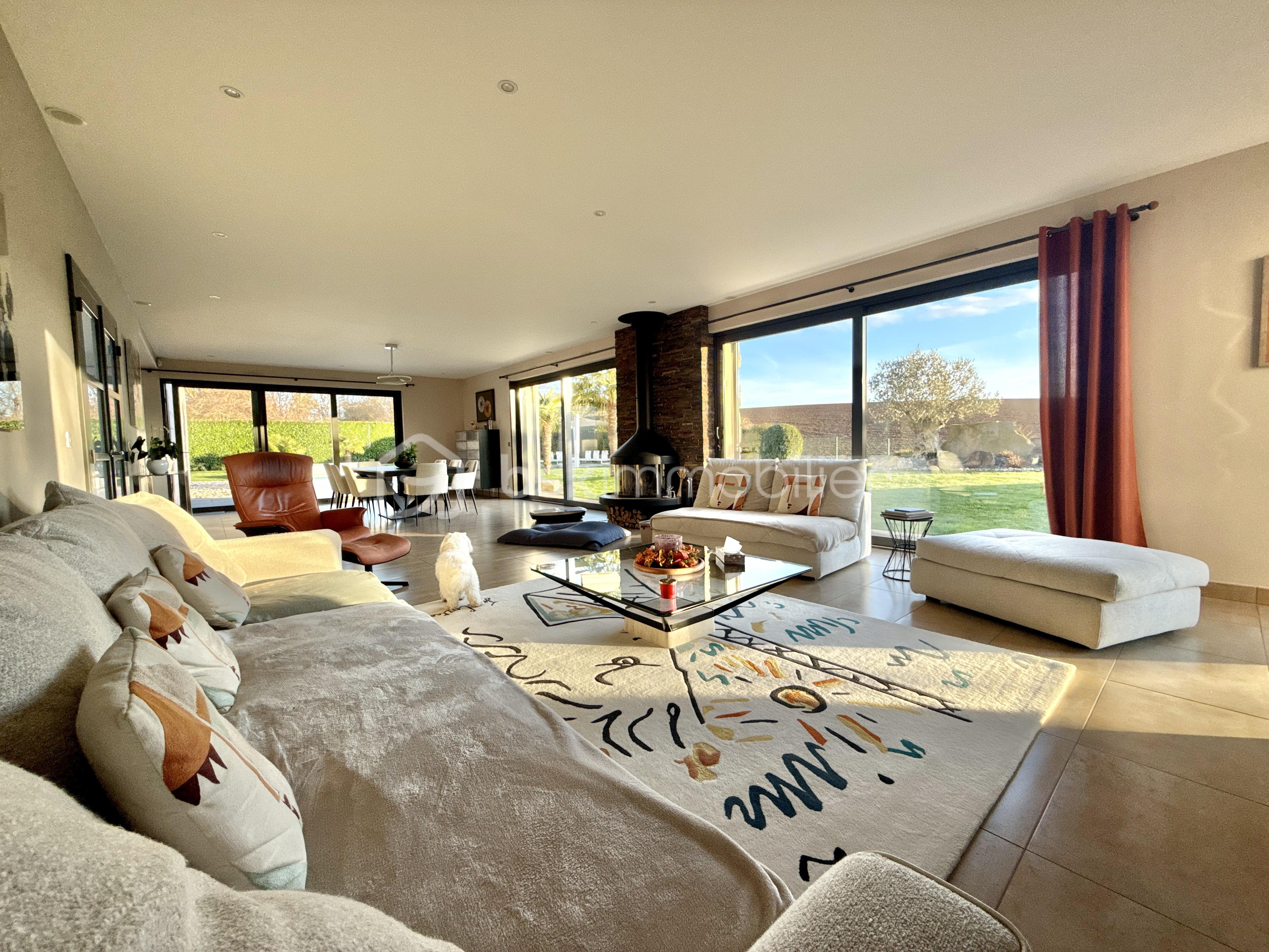 Maison de 365 m² - DJI_20260204_165924_959.jpg