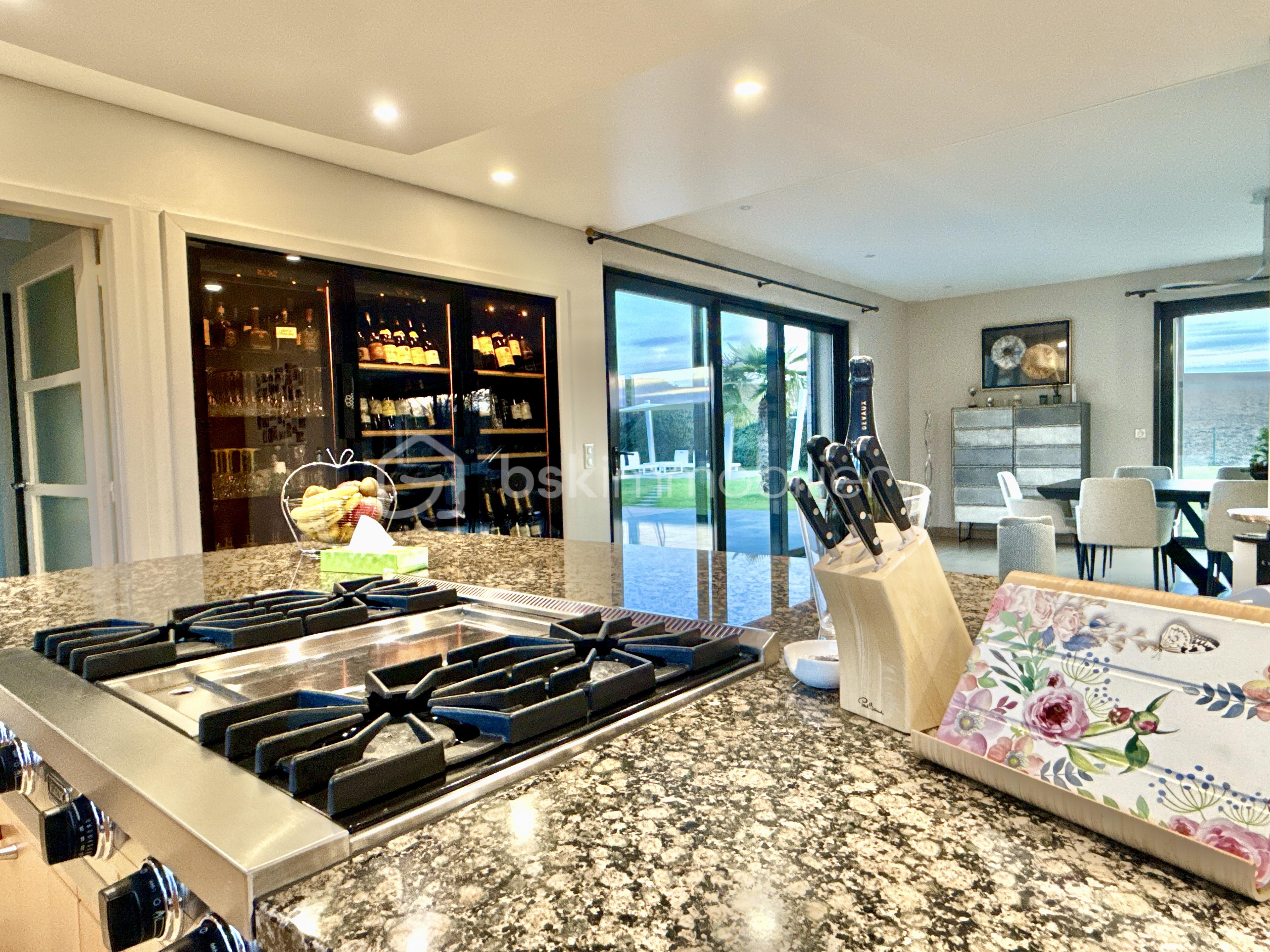 Maison de 365 m² - DJI_20260204_173329_216.jpg