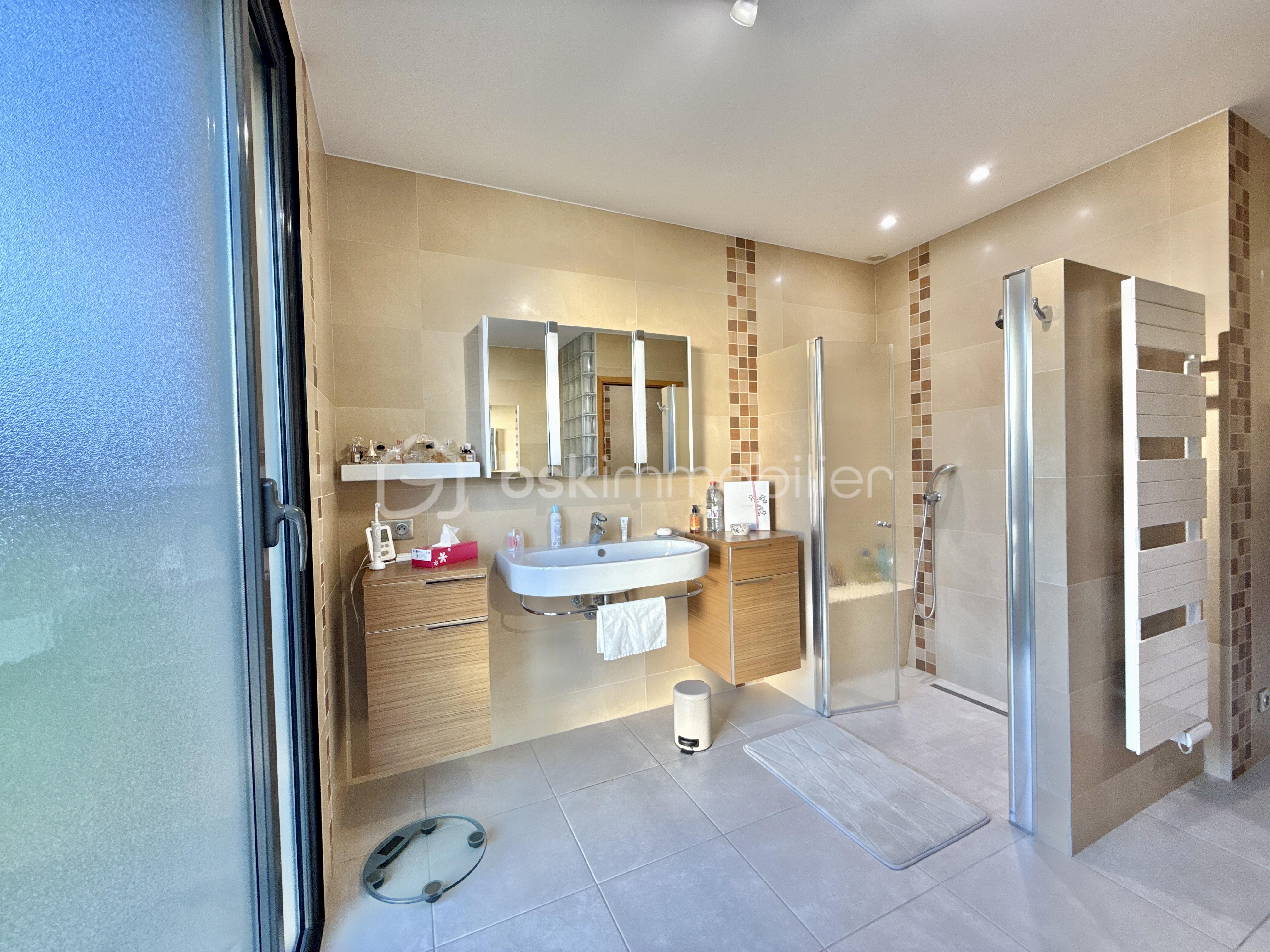 Maison de 365 m² - DJI_20260204_171258_202.jpg