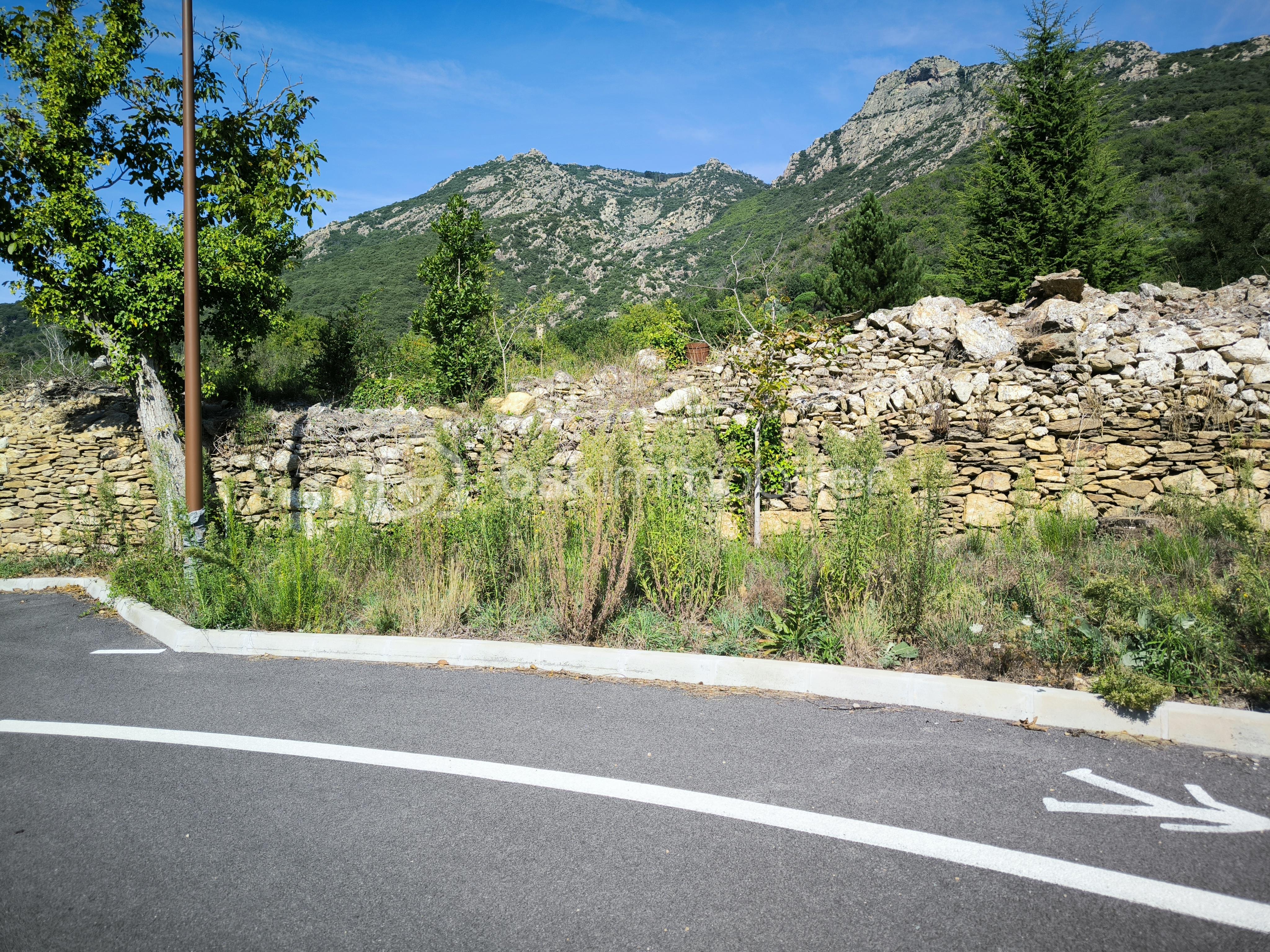 Lotissement de 1 130 m² - IMG_20250915_114149.jpg