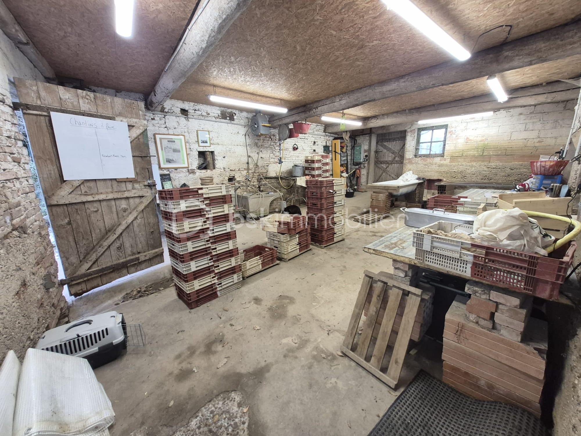 WhatsApp Image 2026-04-01 at 07.53.52.jpeg