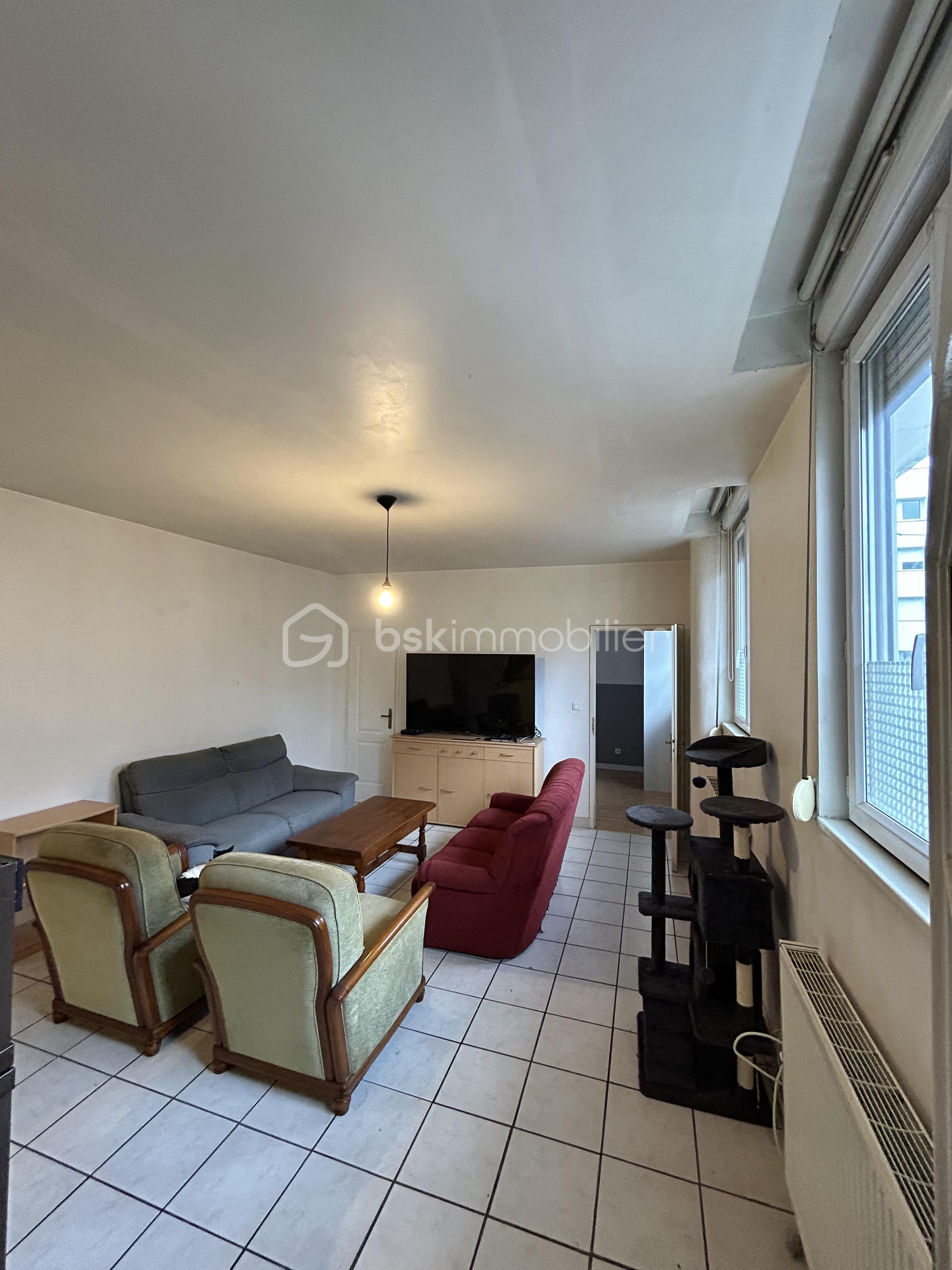 Appartement de 60 m² - Appartement Grenoble Vaillant Photo Salon 2.jpeg