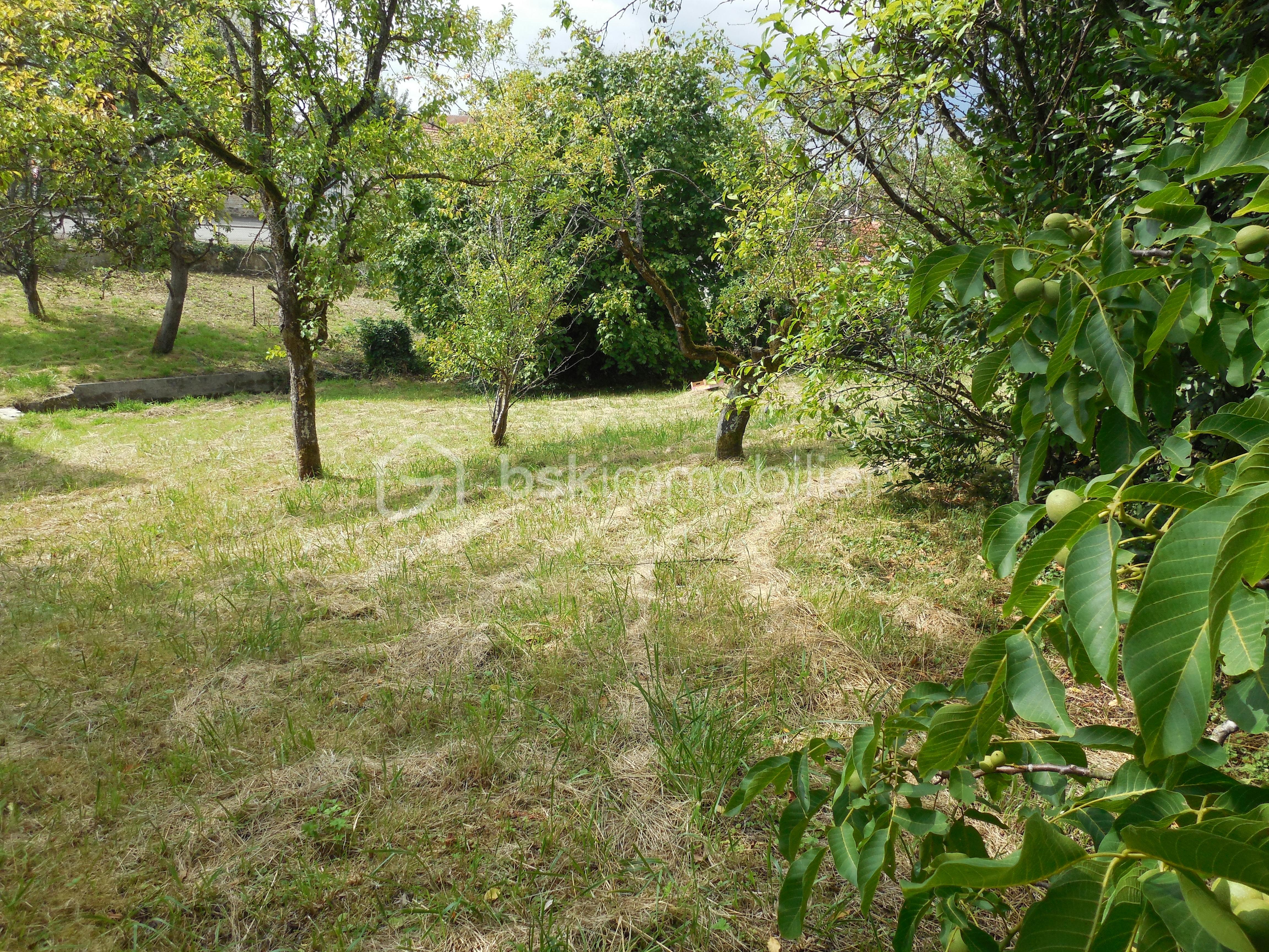 Terrain de 1 258 m² - DSCN8909.JPG