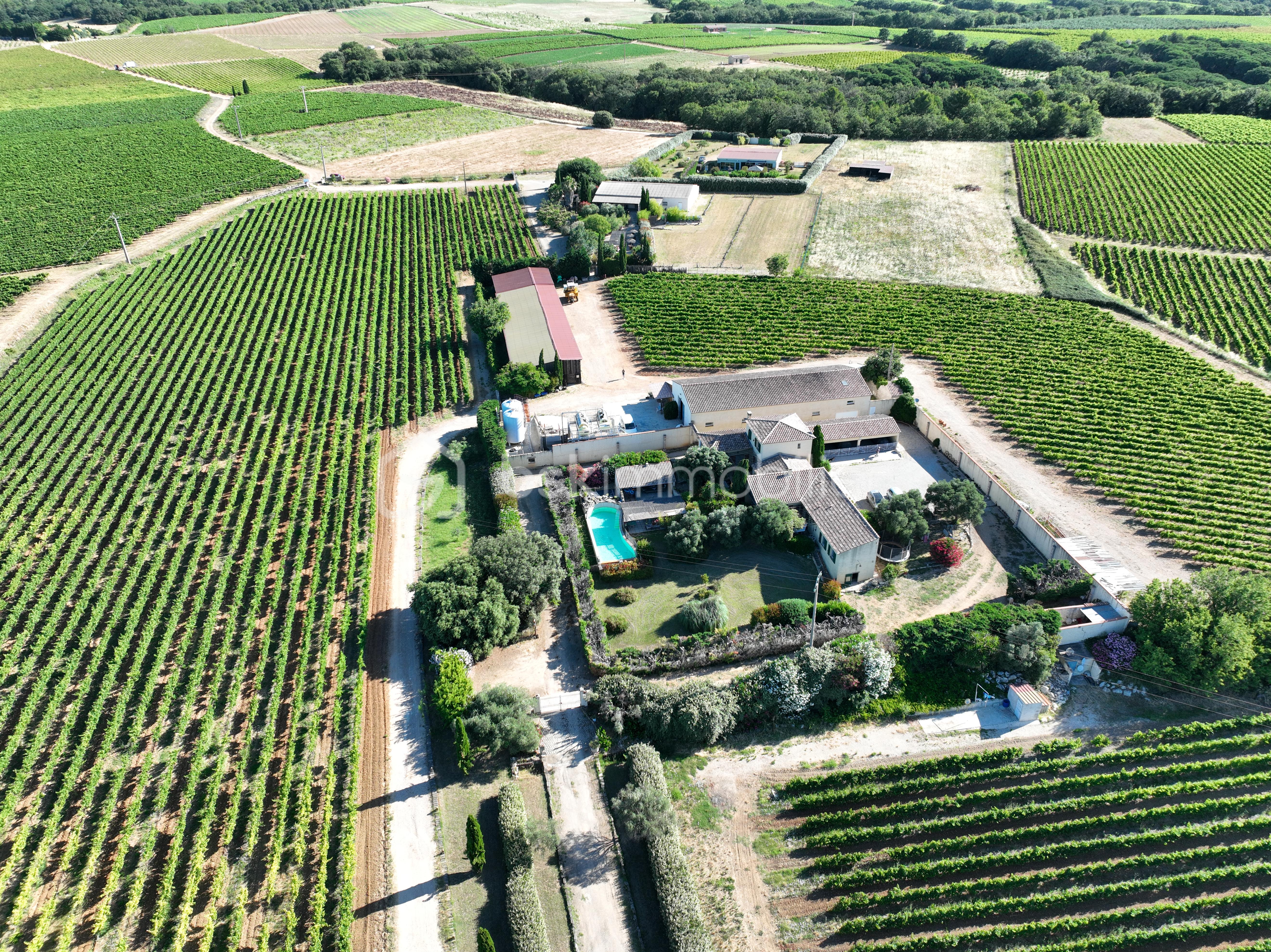 DJI_0528.JPG