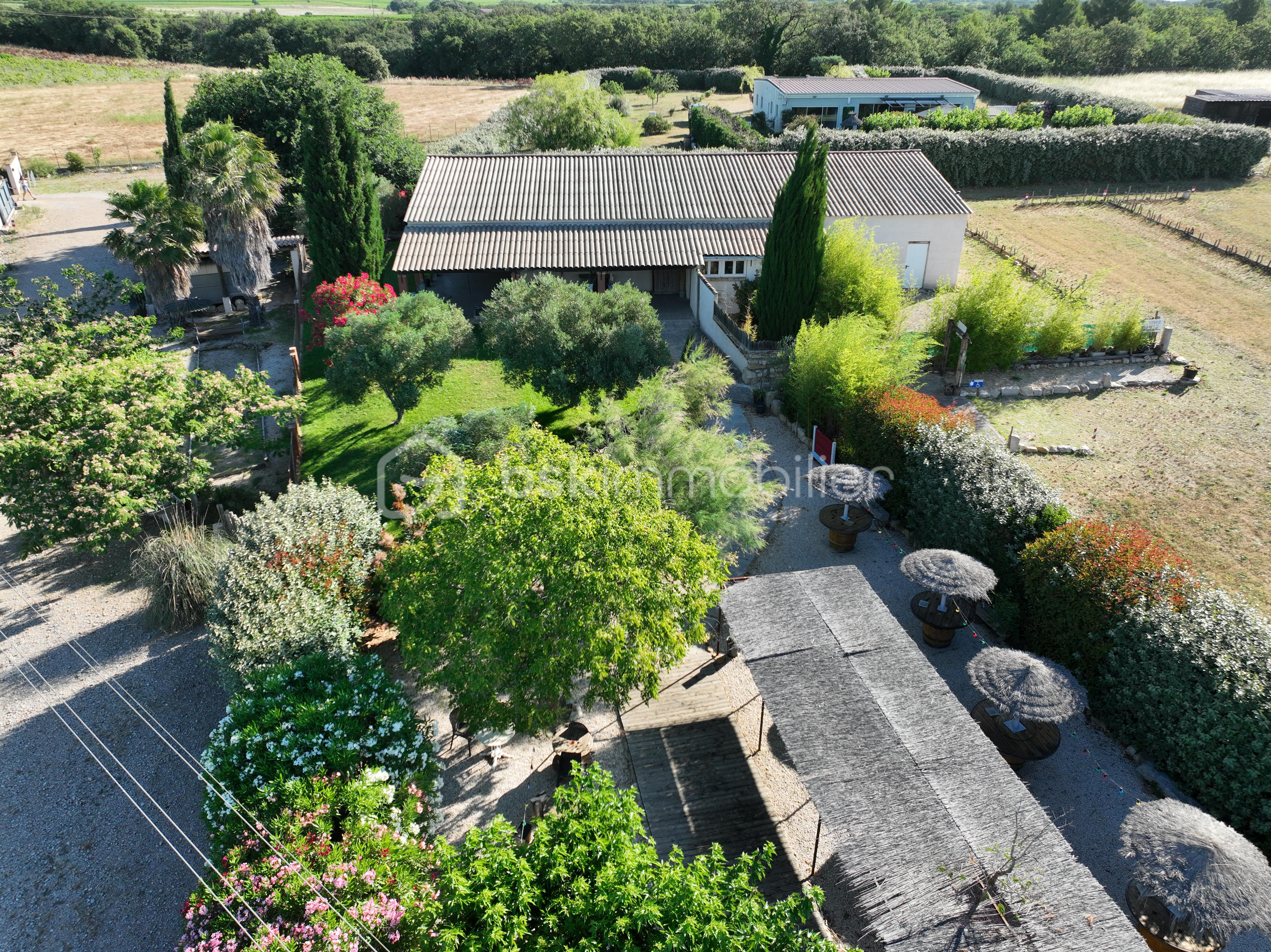 DJI_0514.JPG