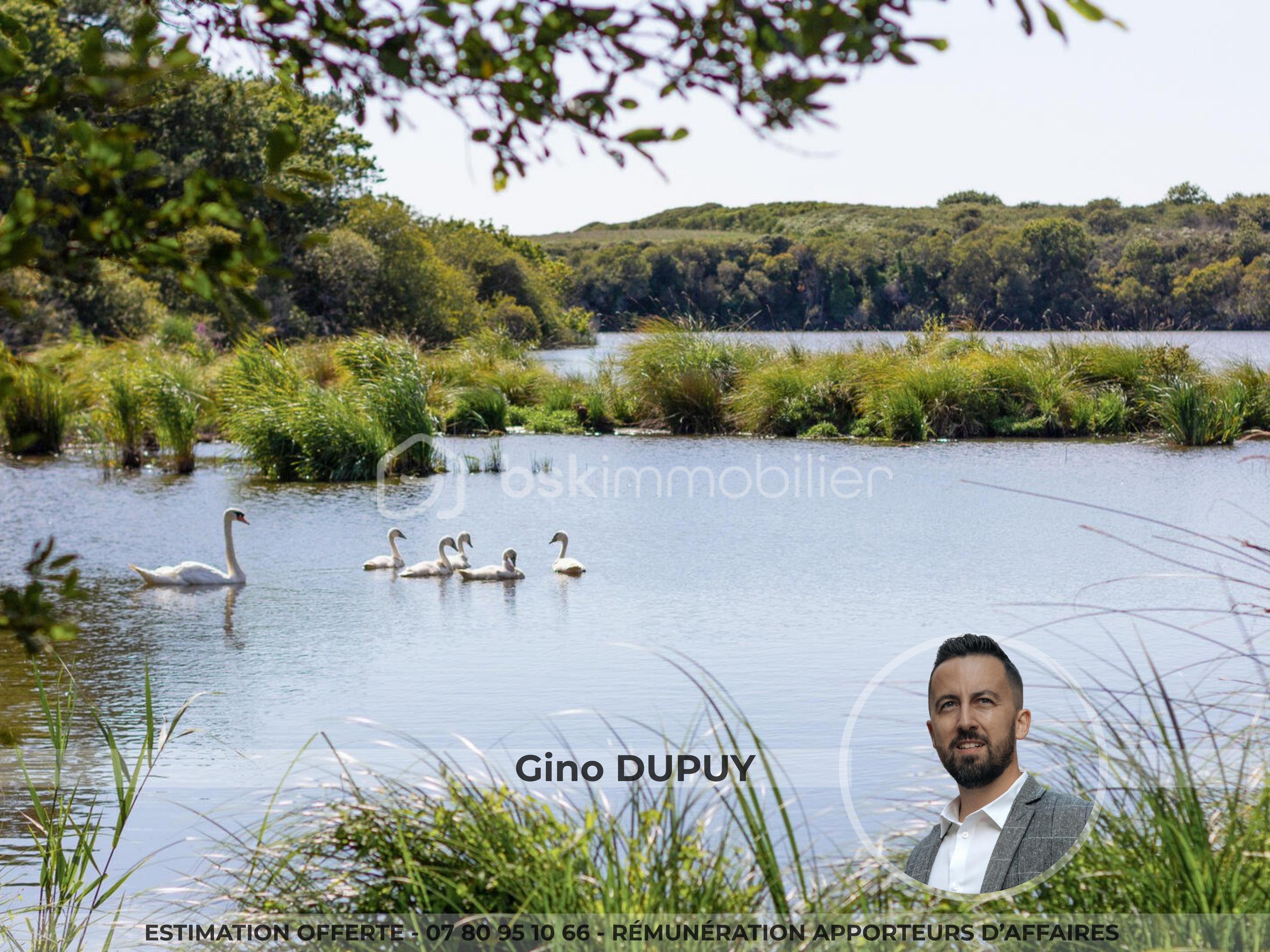 Terrain de 1 100 m² - 15.png