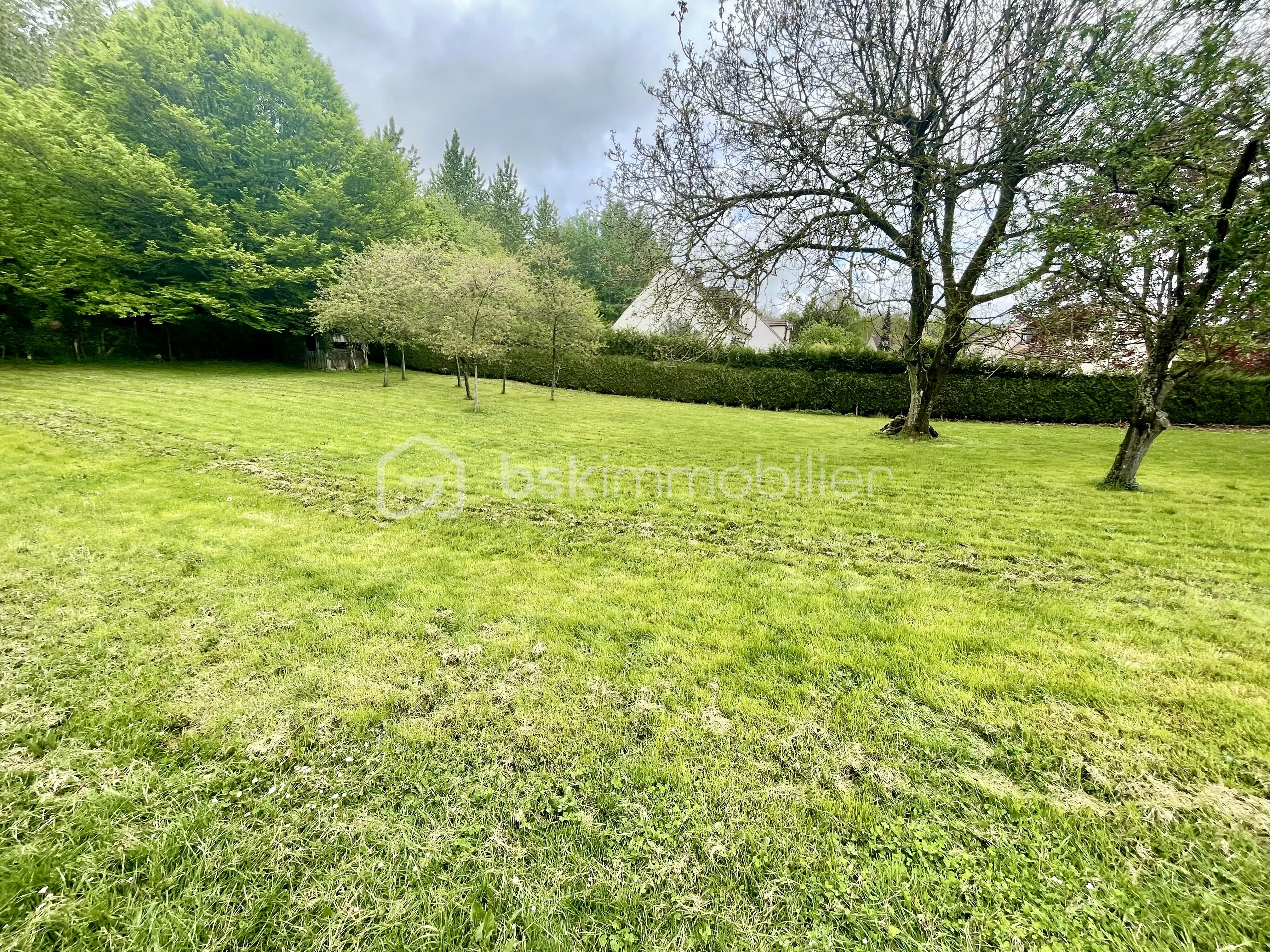 Terrain de 1 119 m² - IMG_1426.jpg