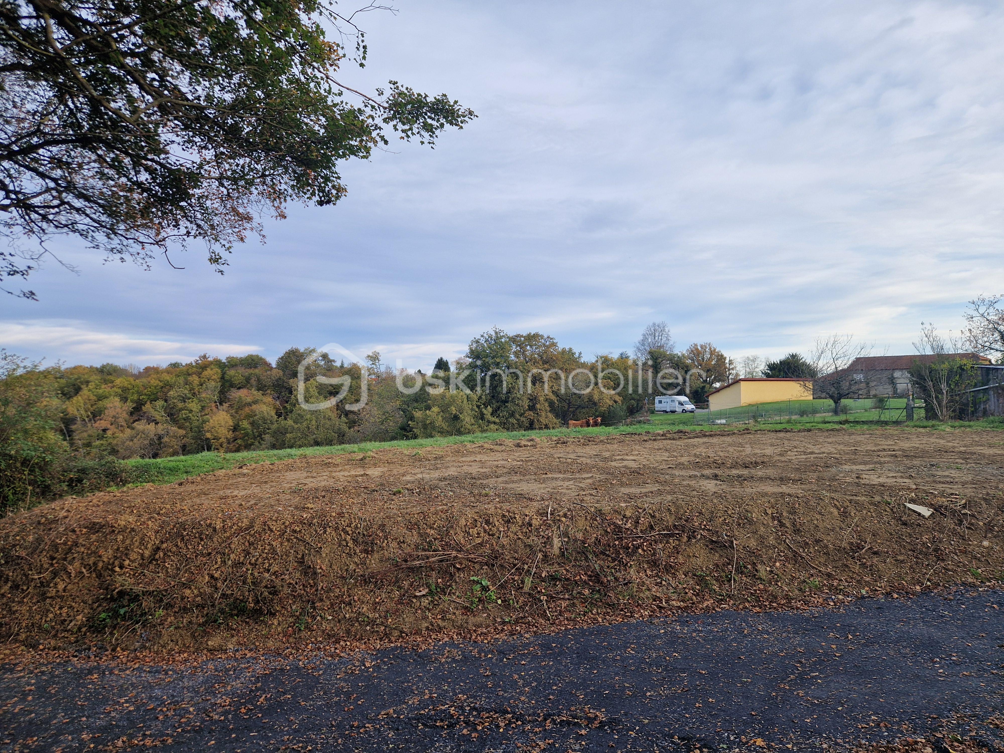 Terrain de 1 300 m² - 20251112_085831.jpg