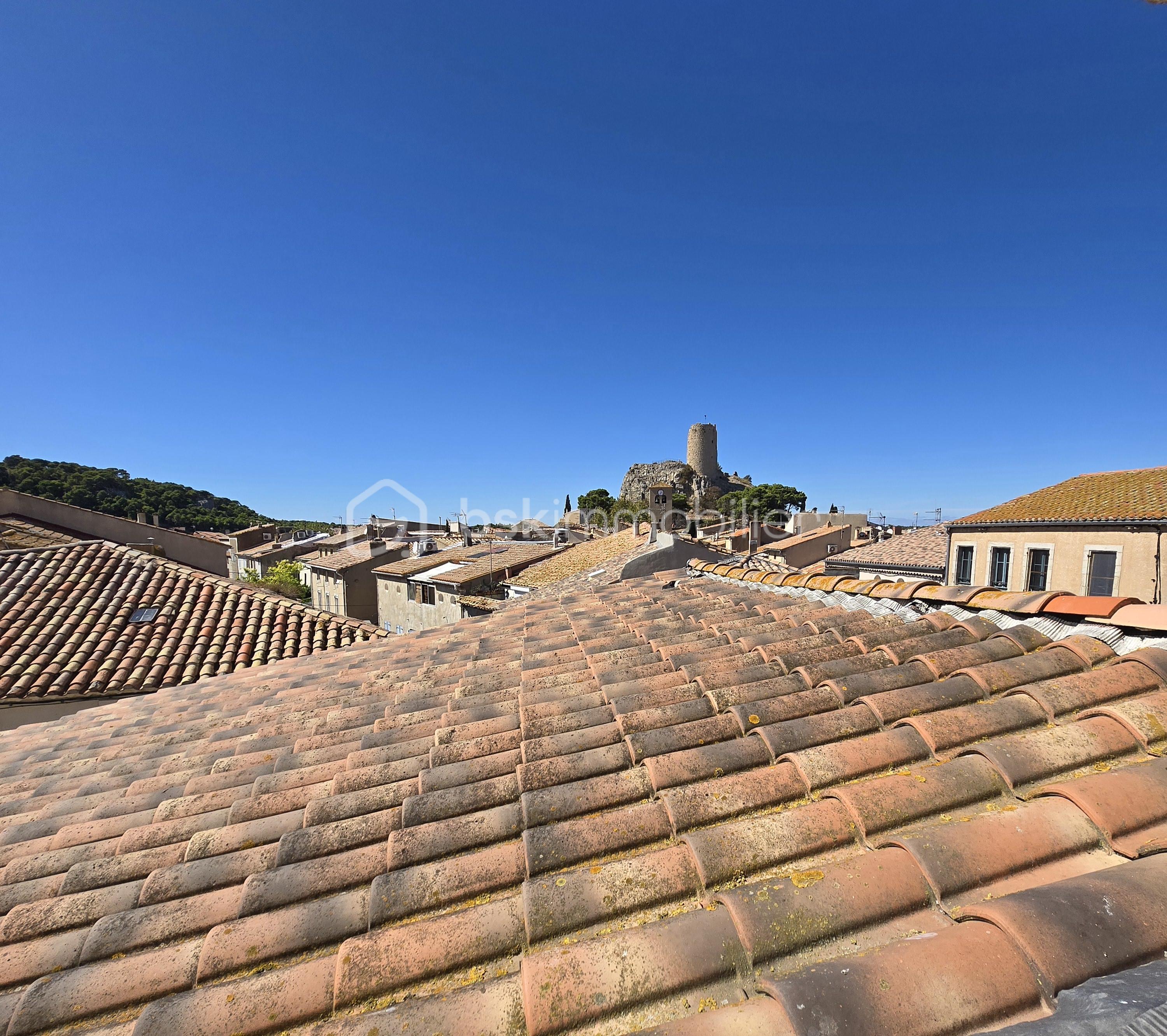 vue sur toits.jpg