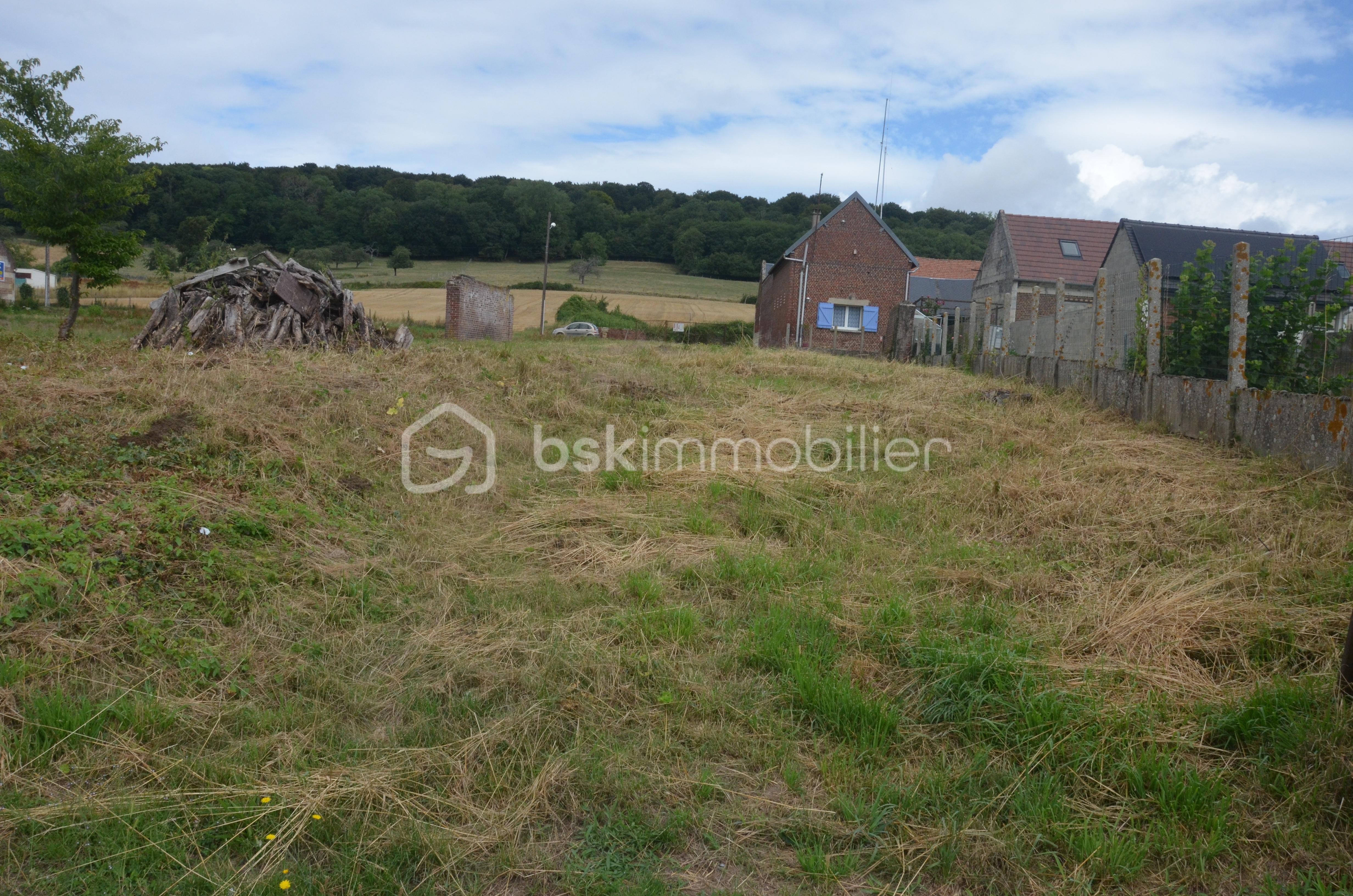Terrain de 991 m² - DSC_0072.JPG