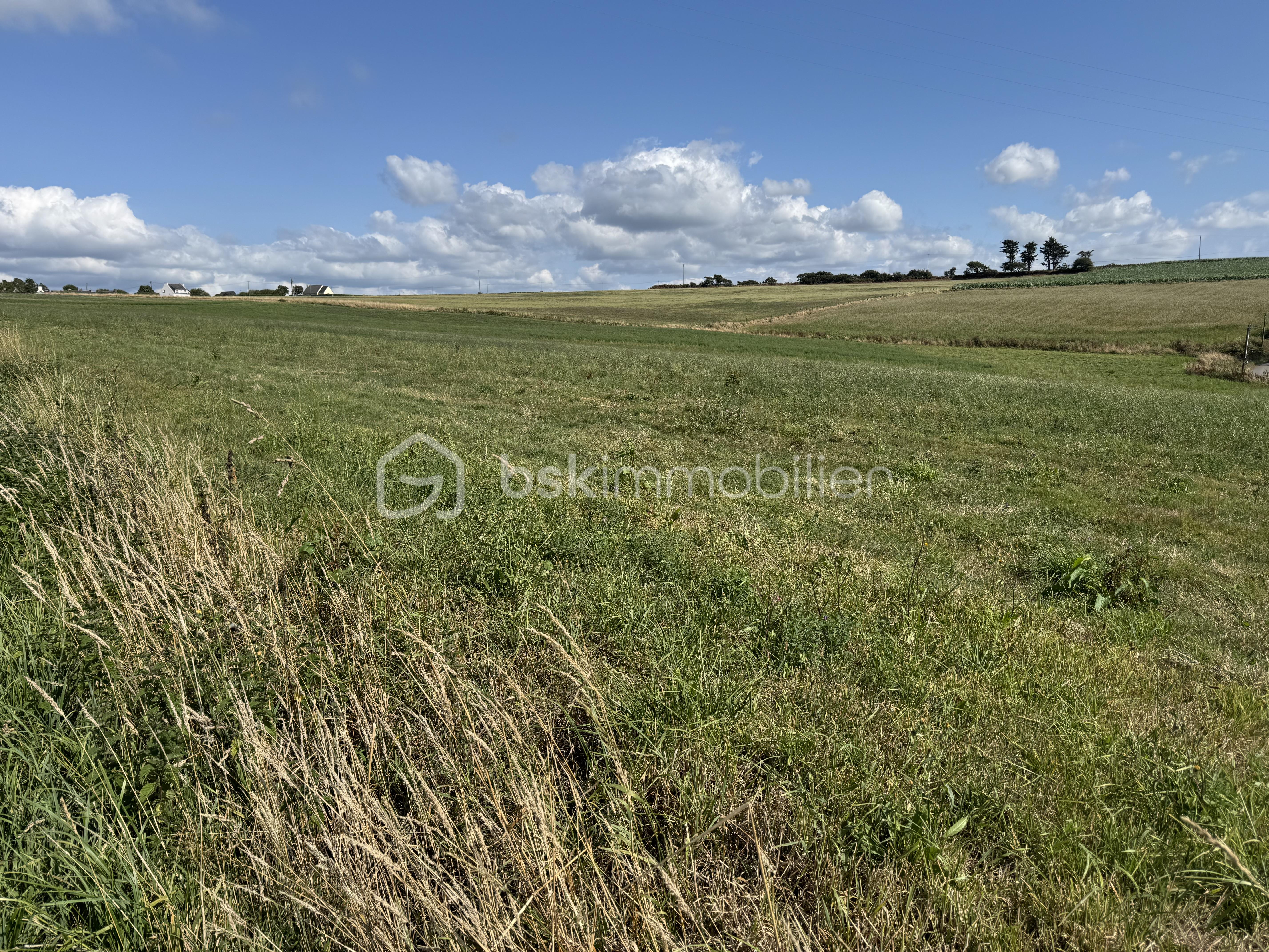 Maison contemporaine de 112,73 m² - IMG_3236.jpeg