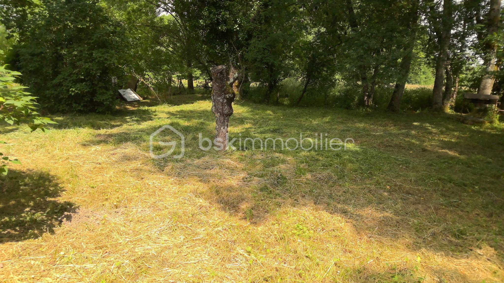 Maison ancienne de 47 m² - maison pérons 16.jpg