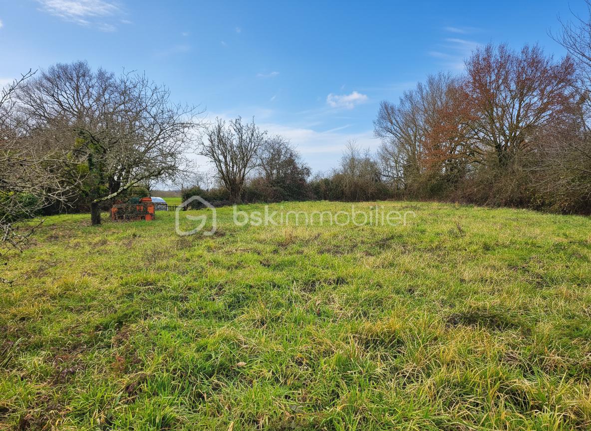 Terrain de 2 160 m² - generated_2026-01-24T15_40_52.103.jpg