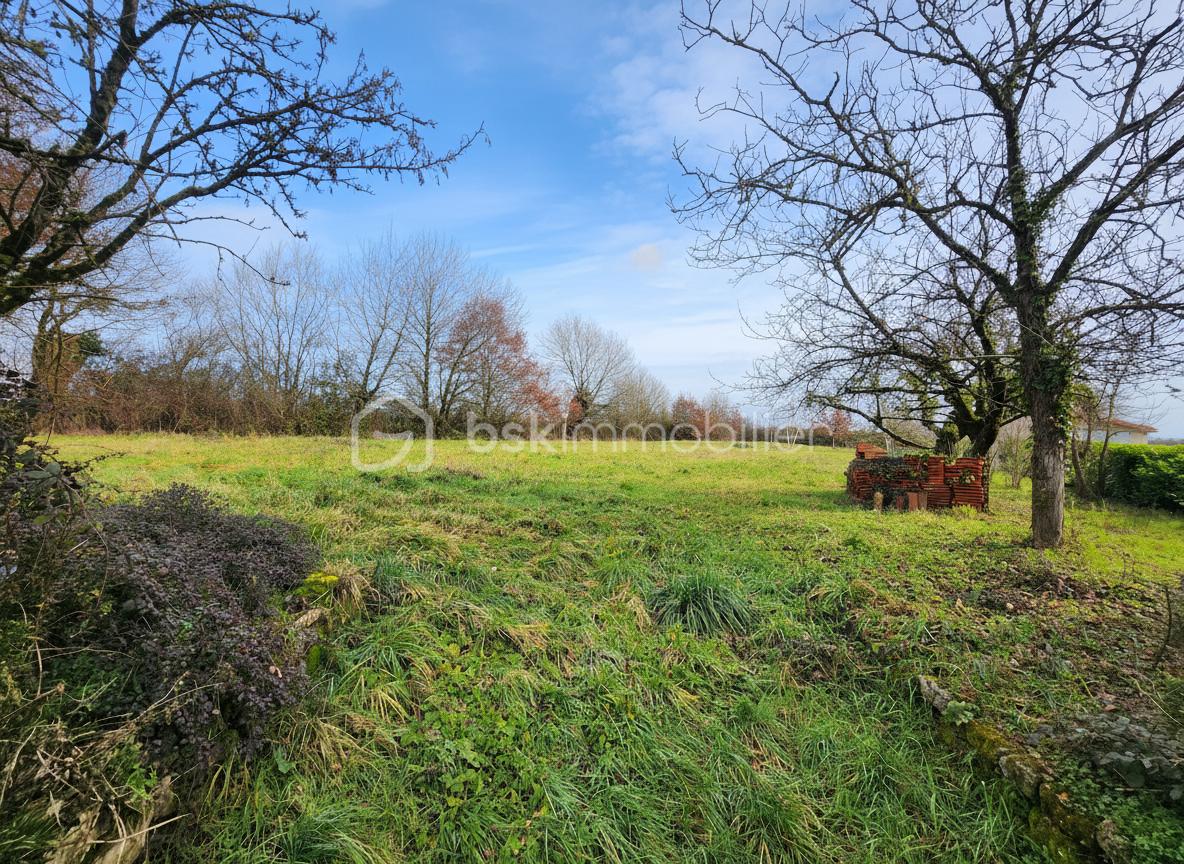 Terrain de 2 160 m² - generated_2026-01-24T15_43_37.723.jpg