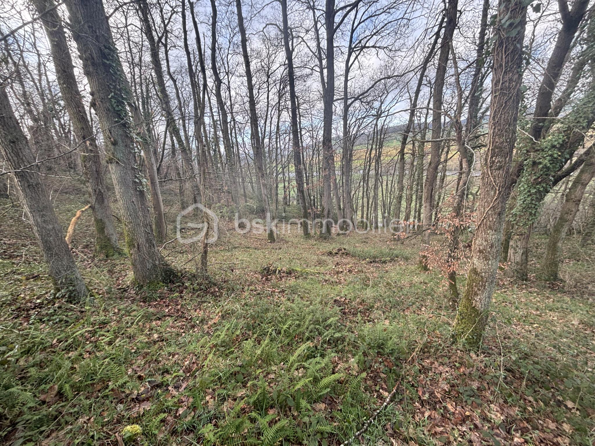 Terrain 810 m² · à Esson · 810 m² · 18 000 €