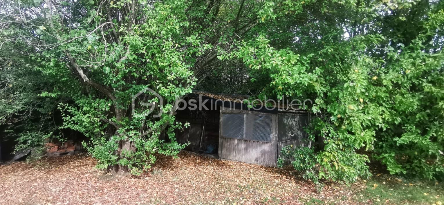 Cabane.jpg