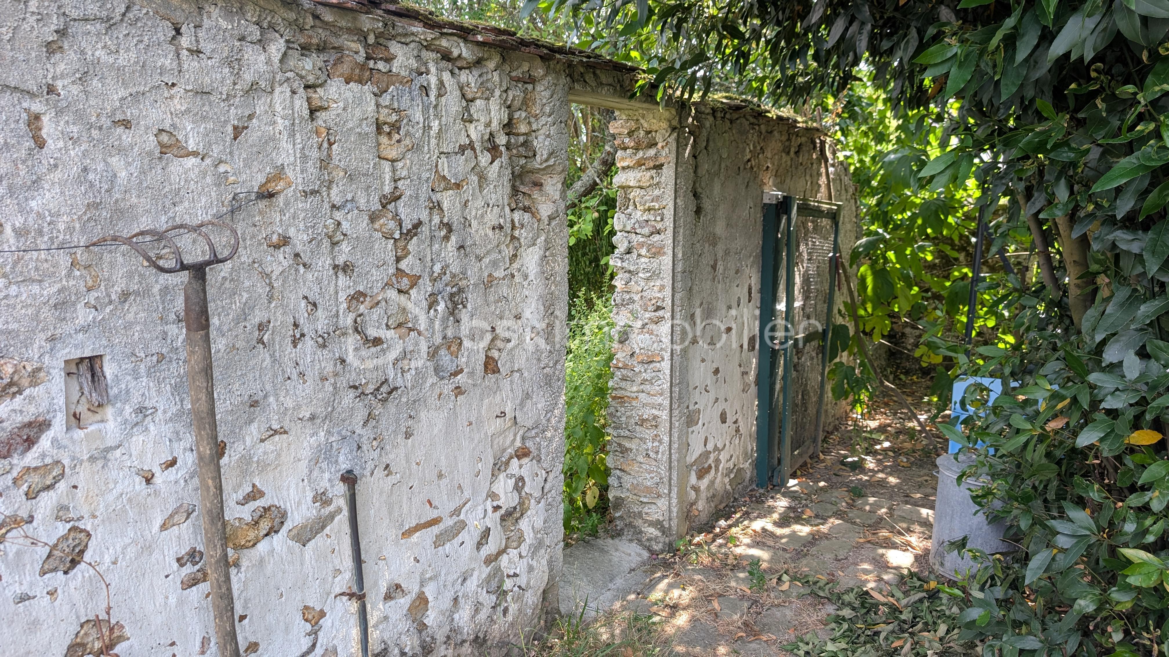PXL_20260630_084724710.jpg