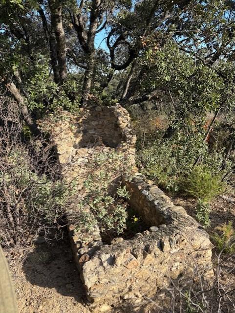 Terrain agricole de 10 160 m² - FONTAINE TERRAIN BELESTA.jpg