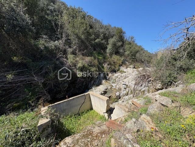 BARRAGE TERRAIN NEFIACH.jpg