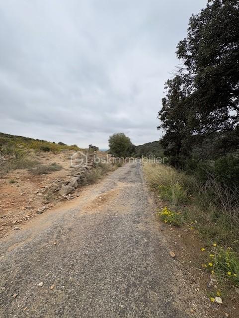 Terrain agricole de 10 160 m² - Photo route accessible terrain eric paquet.jpg