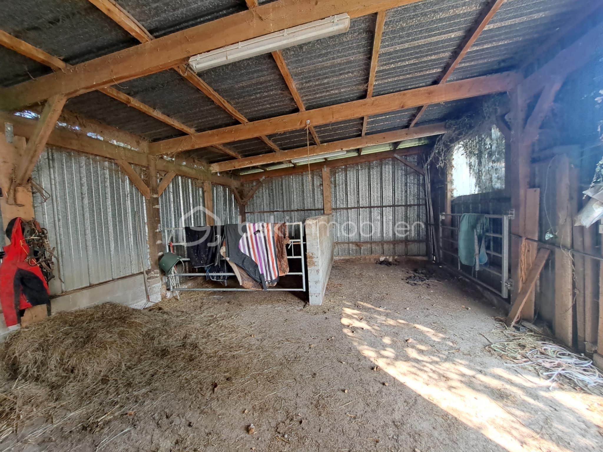 Propriete equestre de 116,32 m² - 84db8f00-50c4-4303-b8d6-f43901d467c7.jfif