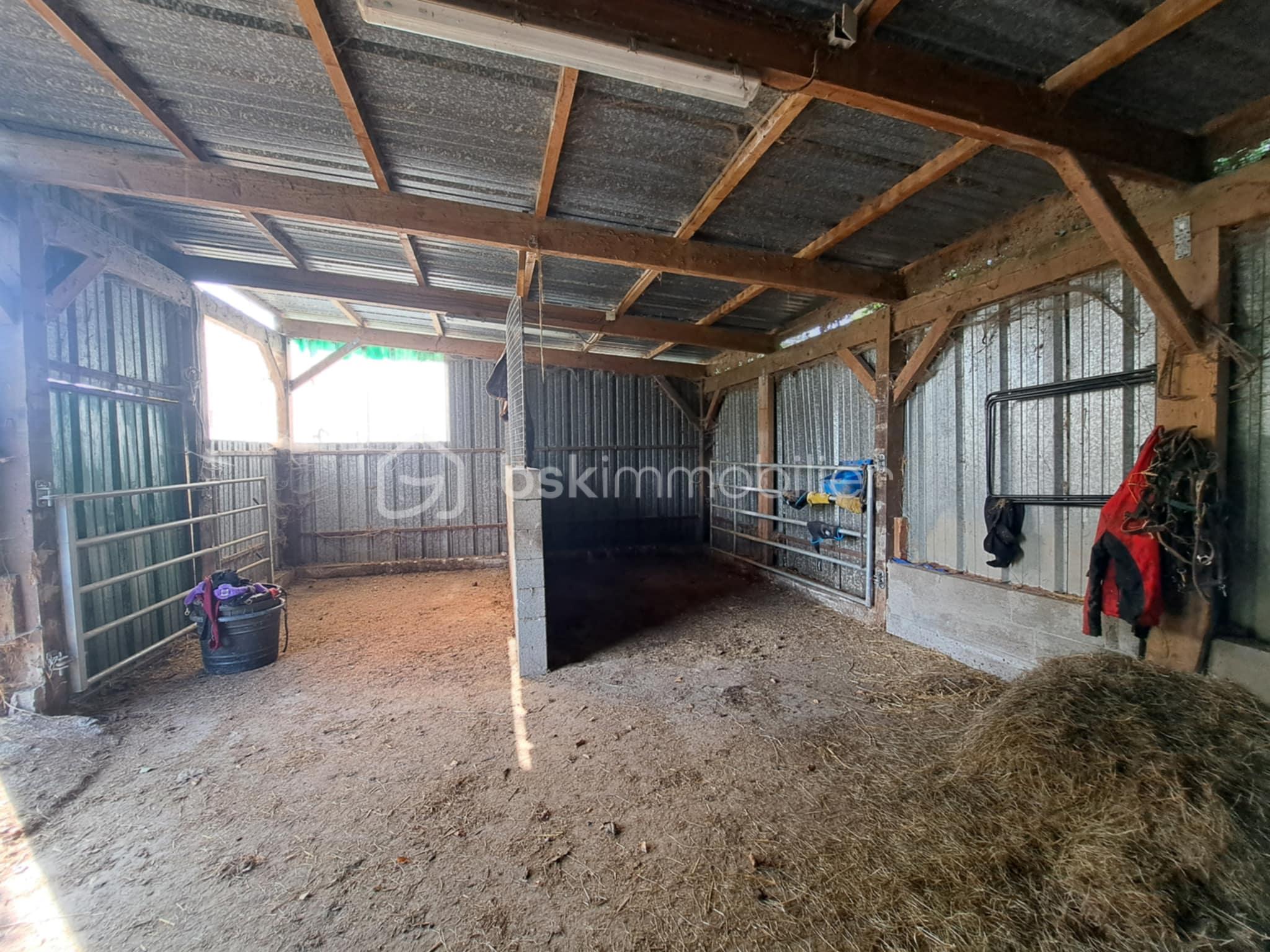 Propriete equestre de 116,32 m² - 4703fcfe-aa36-4d7a-80c4-4d25a7c0c07a.jfif