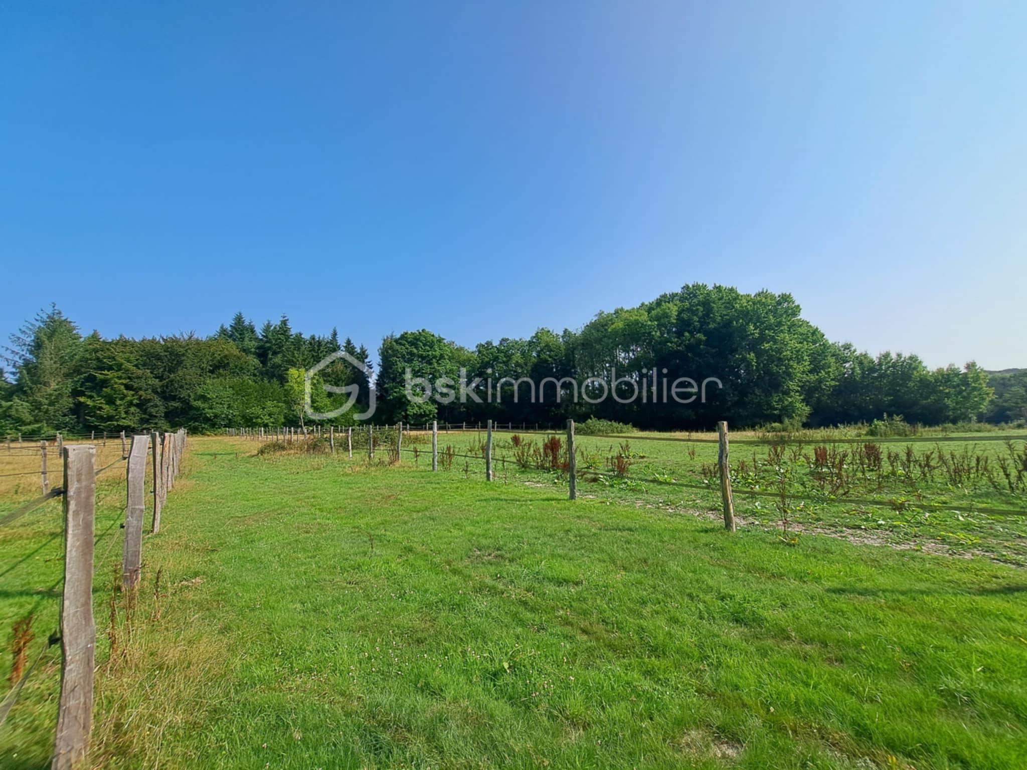 Propriete equestre de 116,32 m² - 8e73e878-1623-4f75-b99f-30b62db8c938.jfif