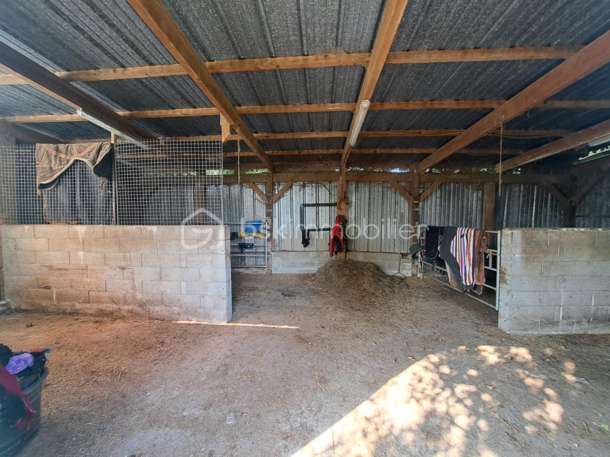 Propriete equestre de 116,32 m² - 7560ed34-97e9-4b4f-afff-1526467b765a.jfif