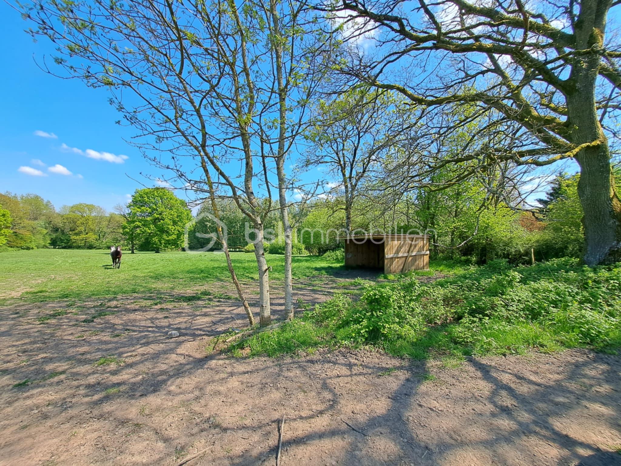 Propriete equestre de 116,32 m² - fea56a0d-9134-4c5a-904e-1c09a0d10f1b.jfif