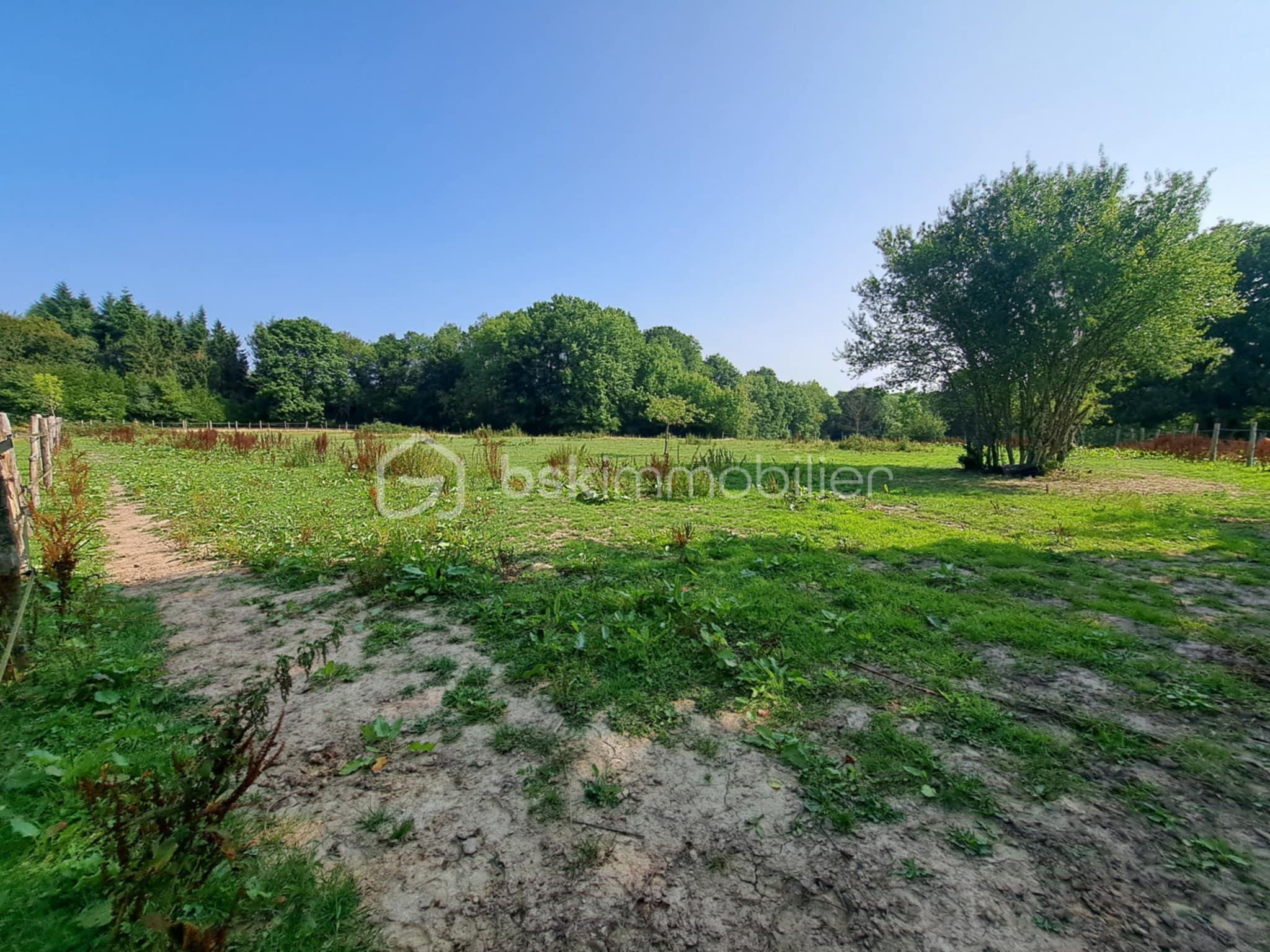 Propriete equestre de 116,32 m² - fed147b5-e93f-411f-b32e-24c7b4234bdb.jfif
