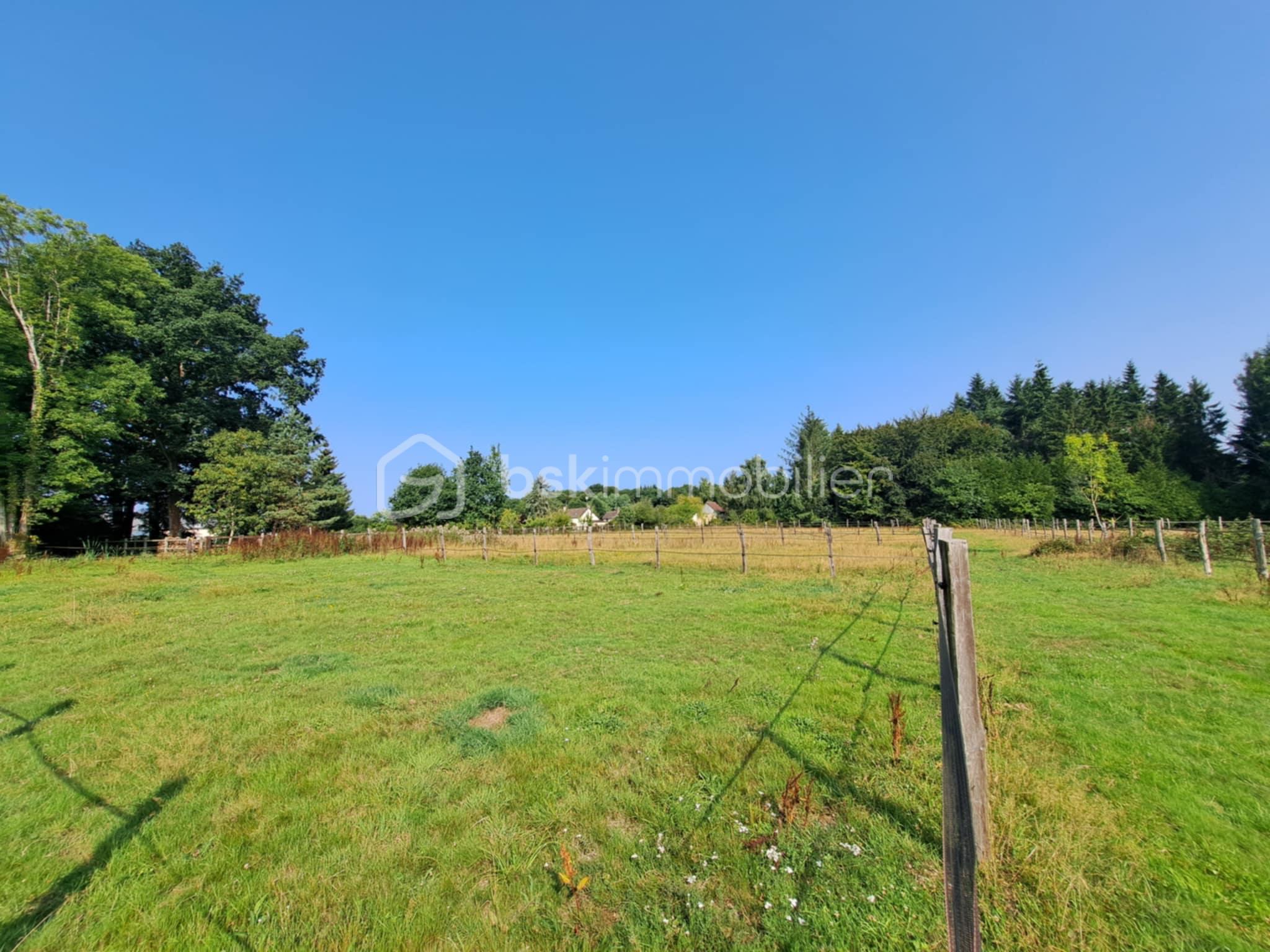 Propriete equestre de 116,32 m² - d1e2b68d-c940-4d81-bb14-4b996b8a6cc8.jfif