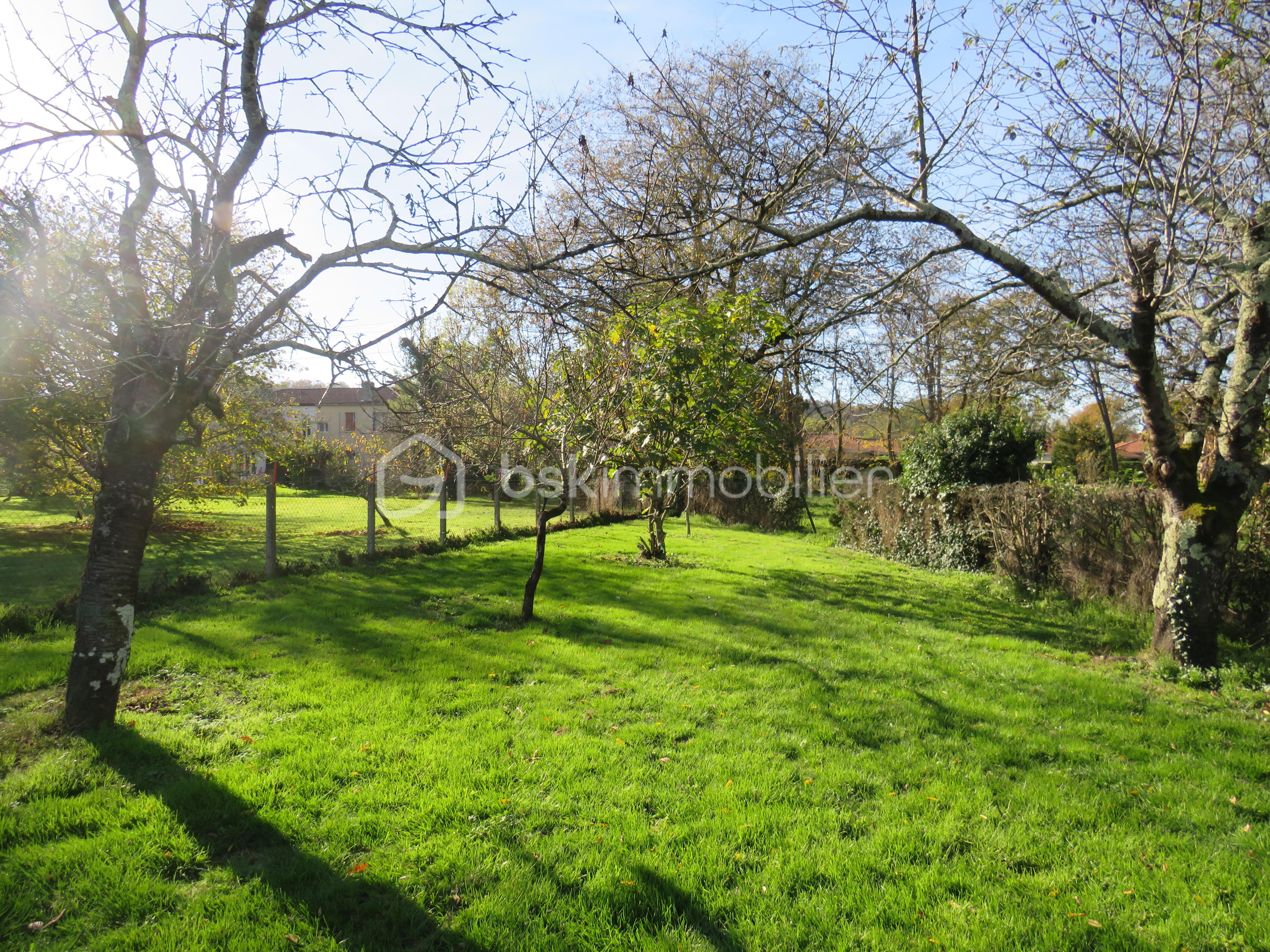 Maison de 135 m² - IMG_8543.JPG