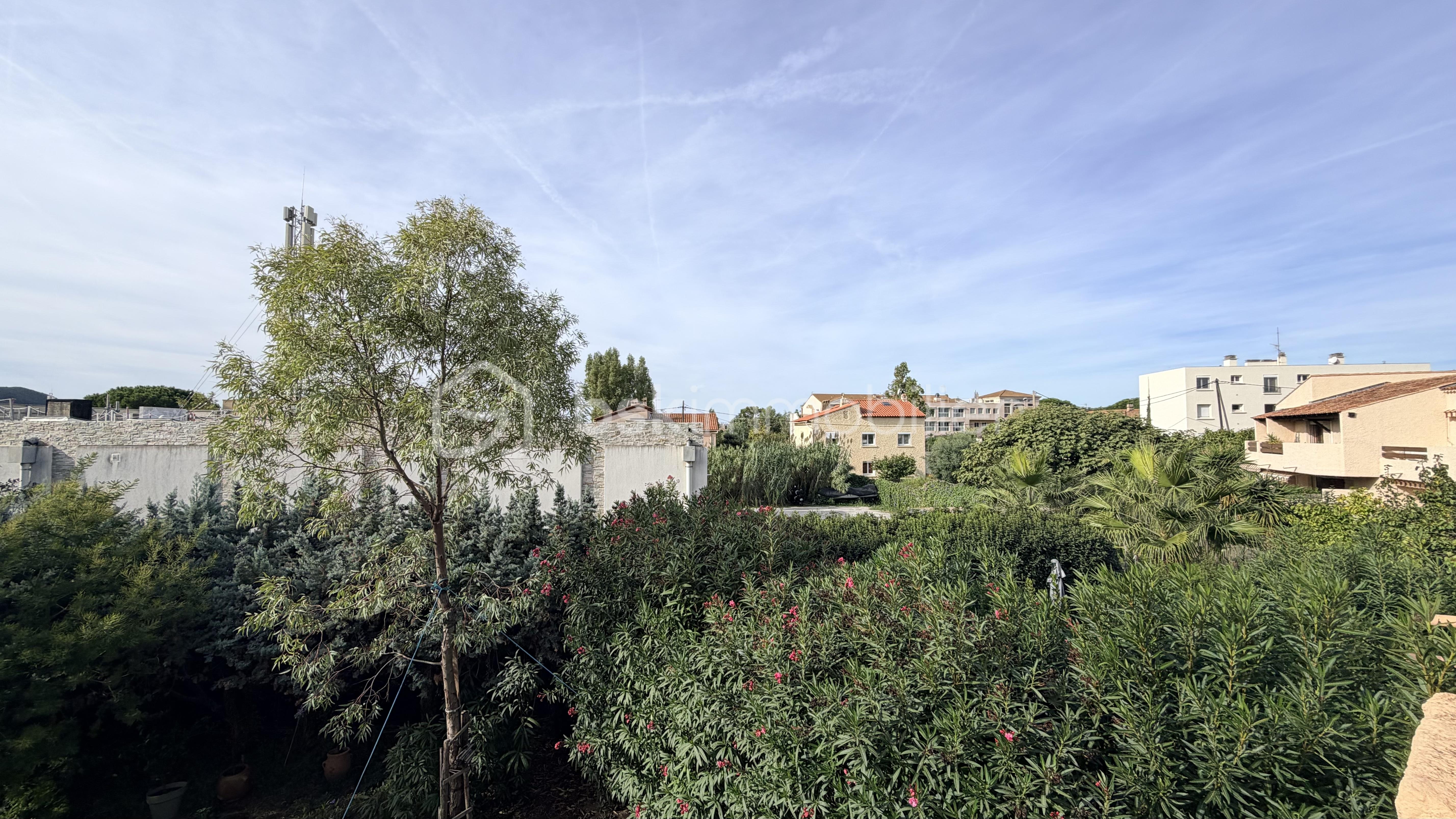 PHOTO VUE.jpg