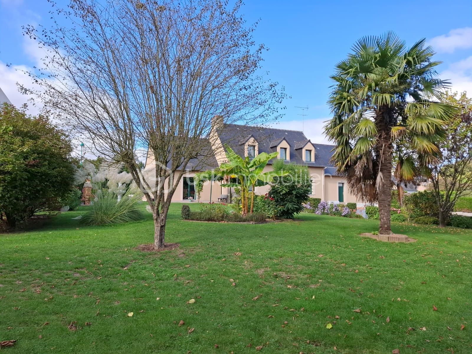 Maison de 200 m² - BECAM c2529eaa-d98a-4b32-a0f1-daecd357982f.JPG