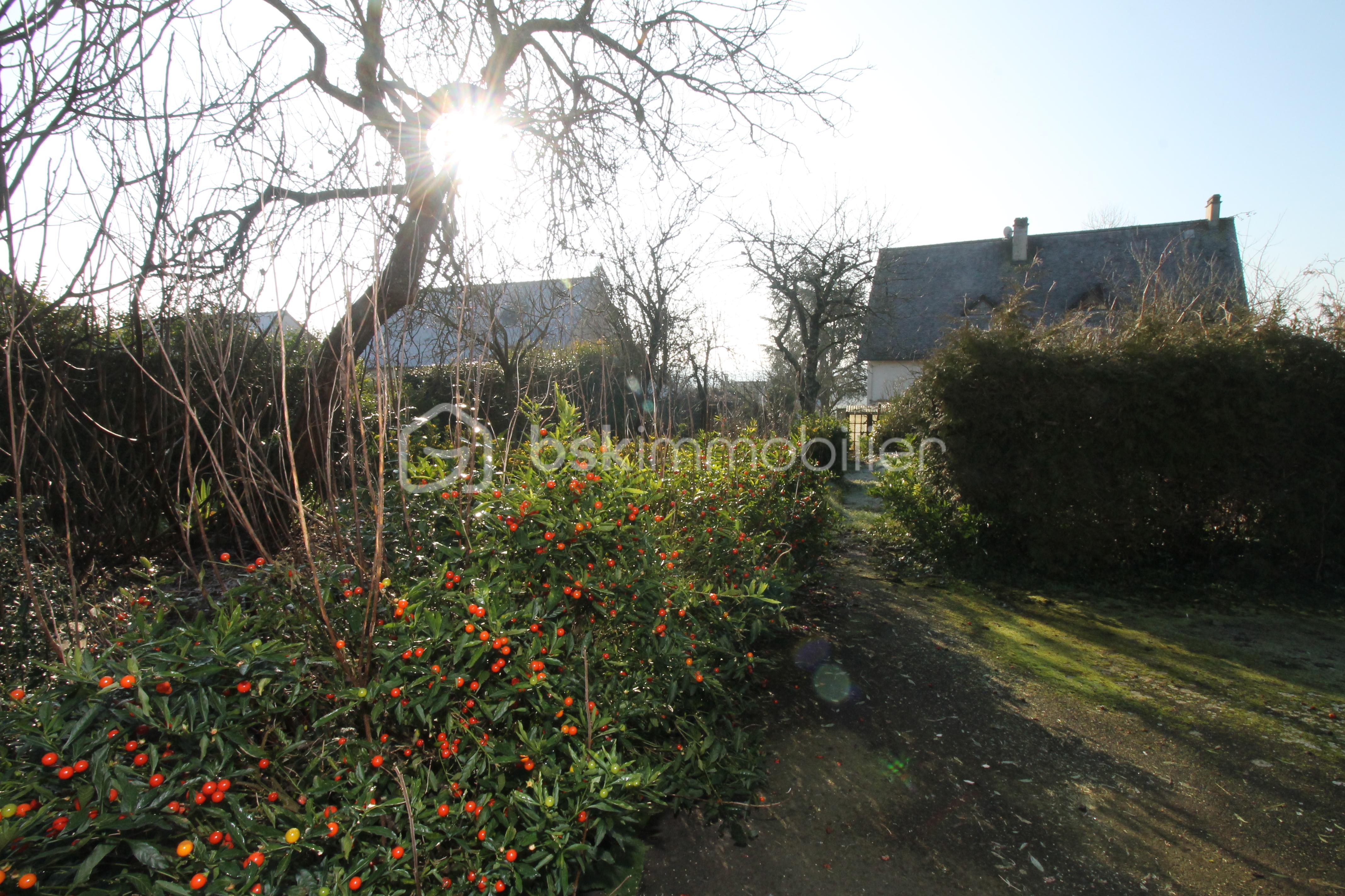 Maison de 200 m² - jardin.JPG