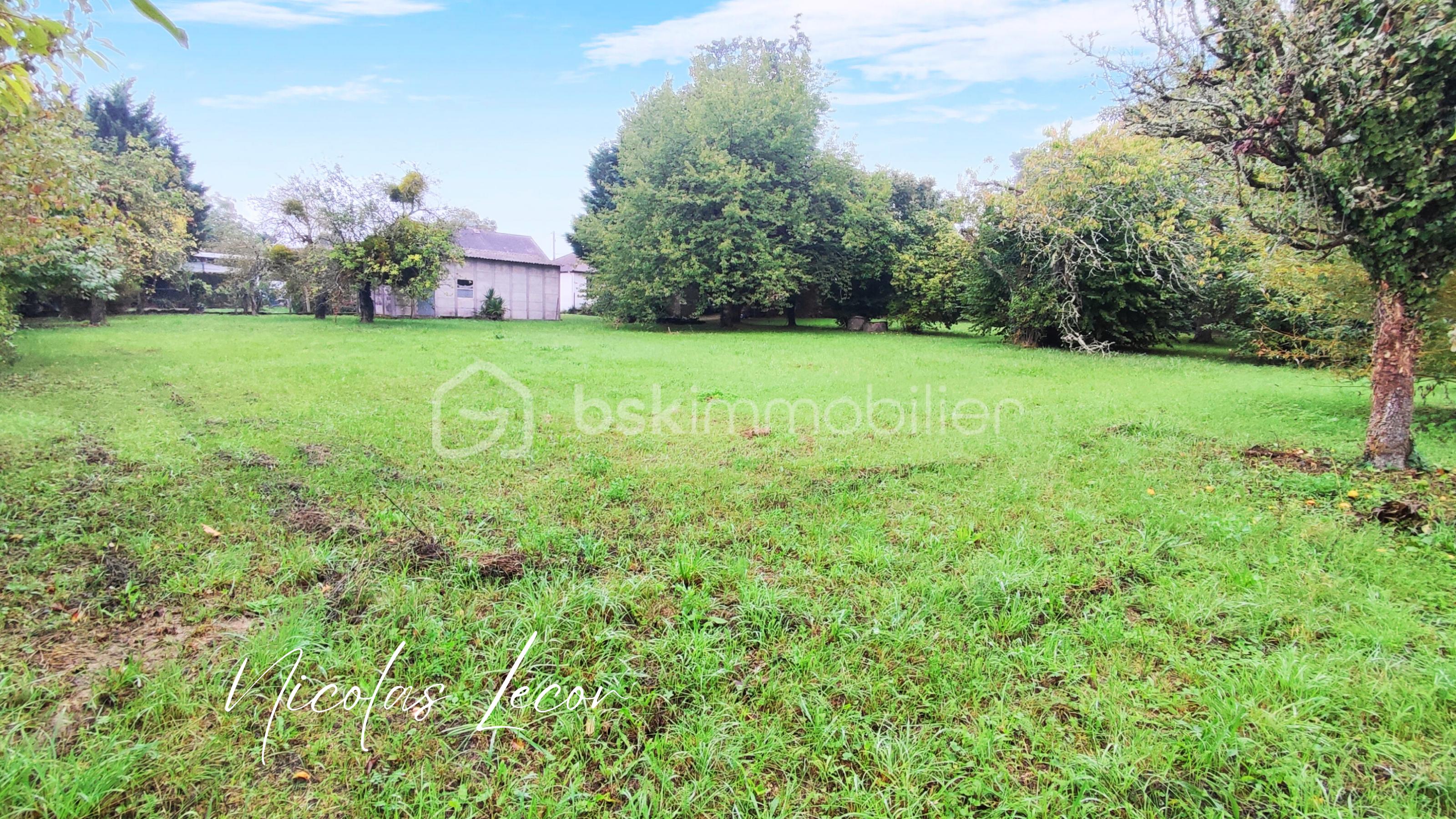 Terrain de 2 210 m² - Nicolas Lecor (3).png