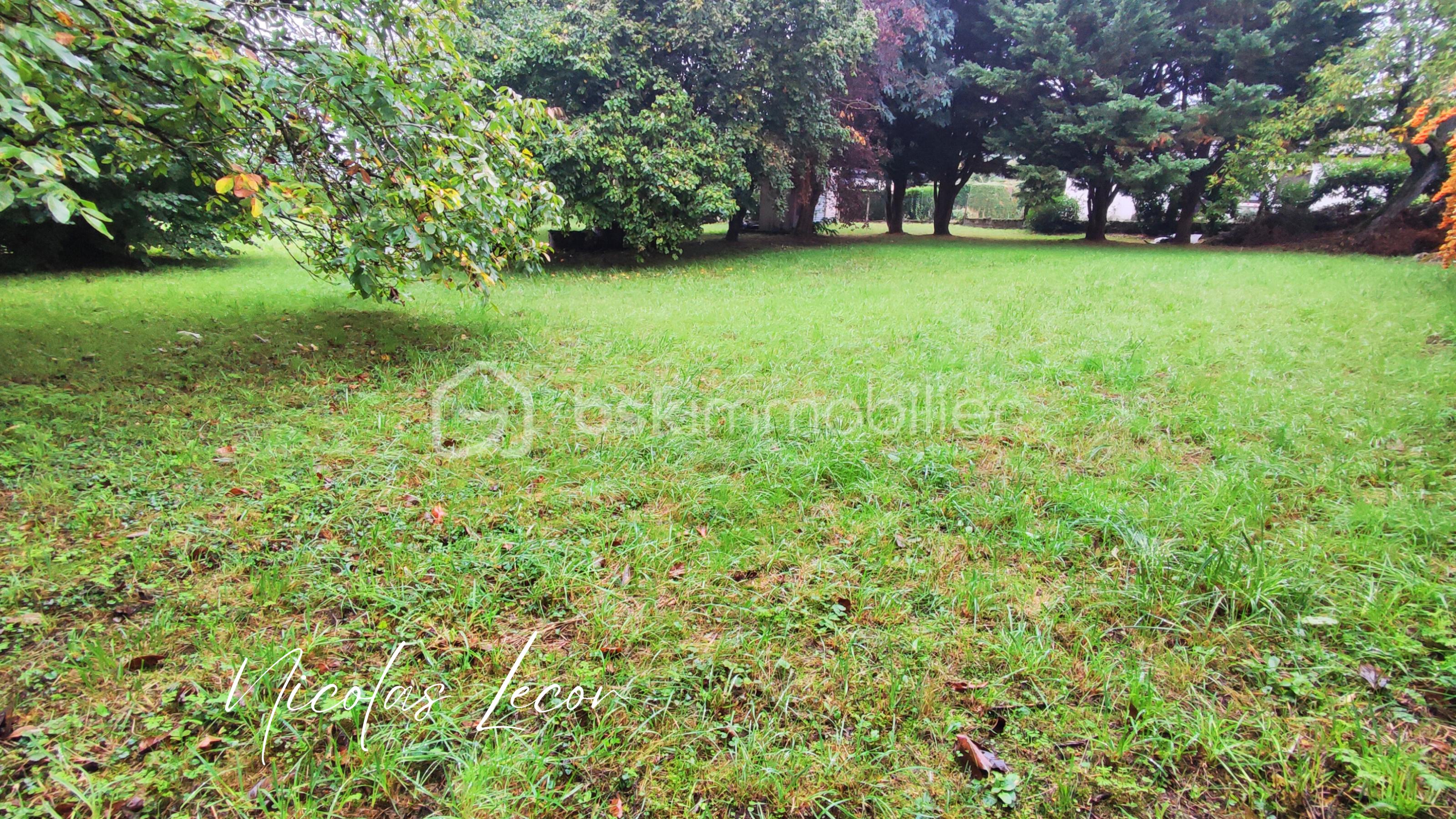 Terrain de 2 210 m² - Nicolas Lecor.png