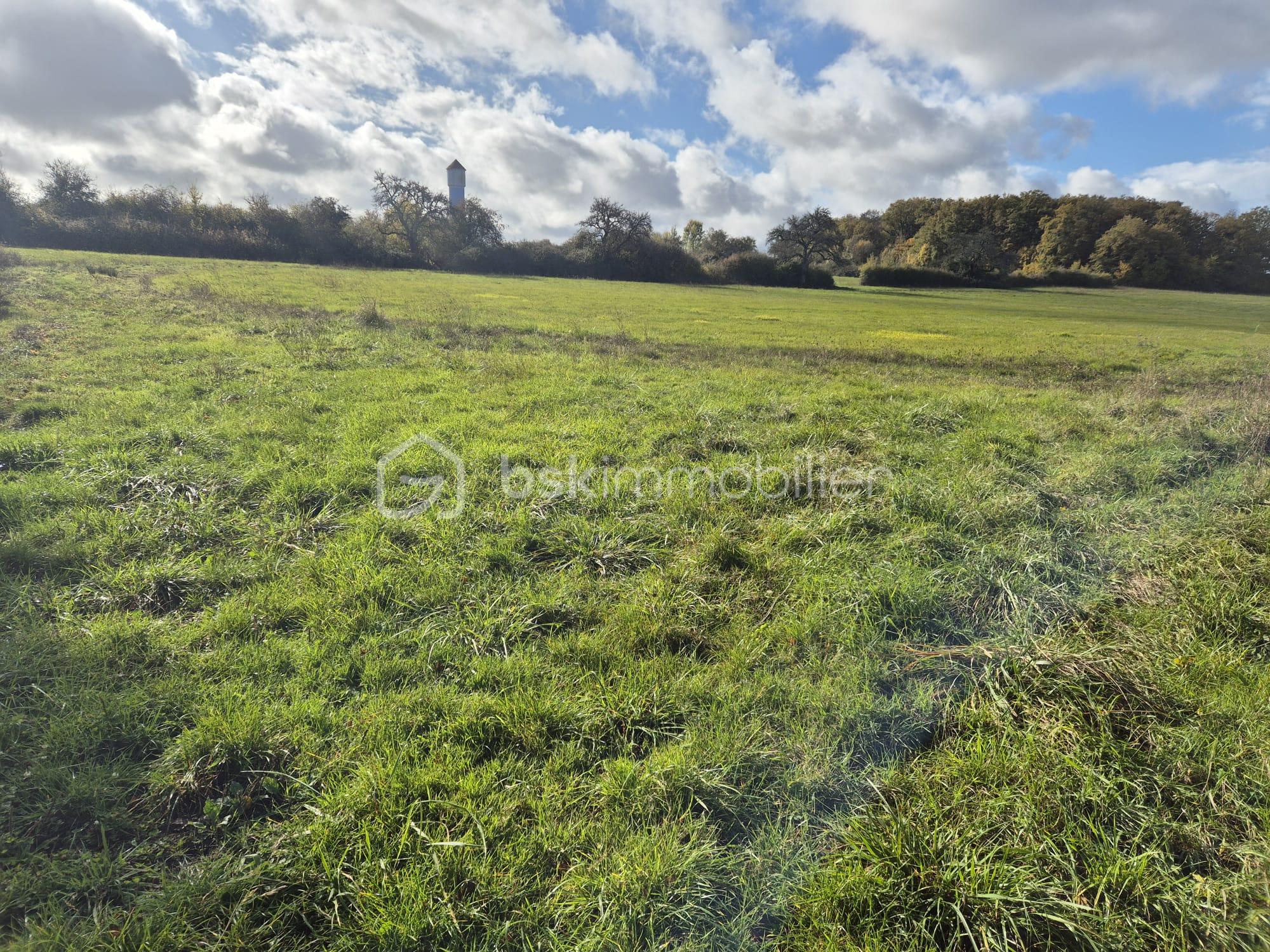 Maison de 115 m² - IMG-20251106-WA0004.jpg