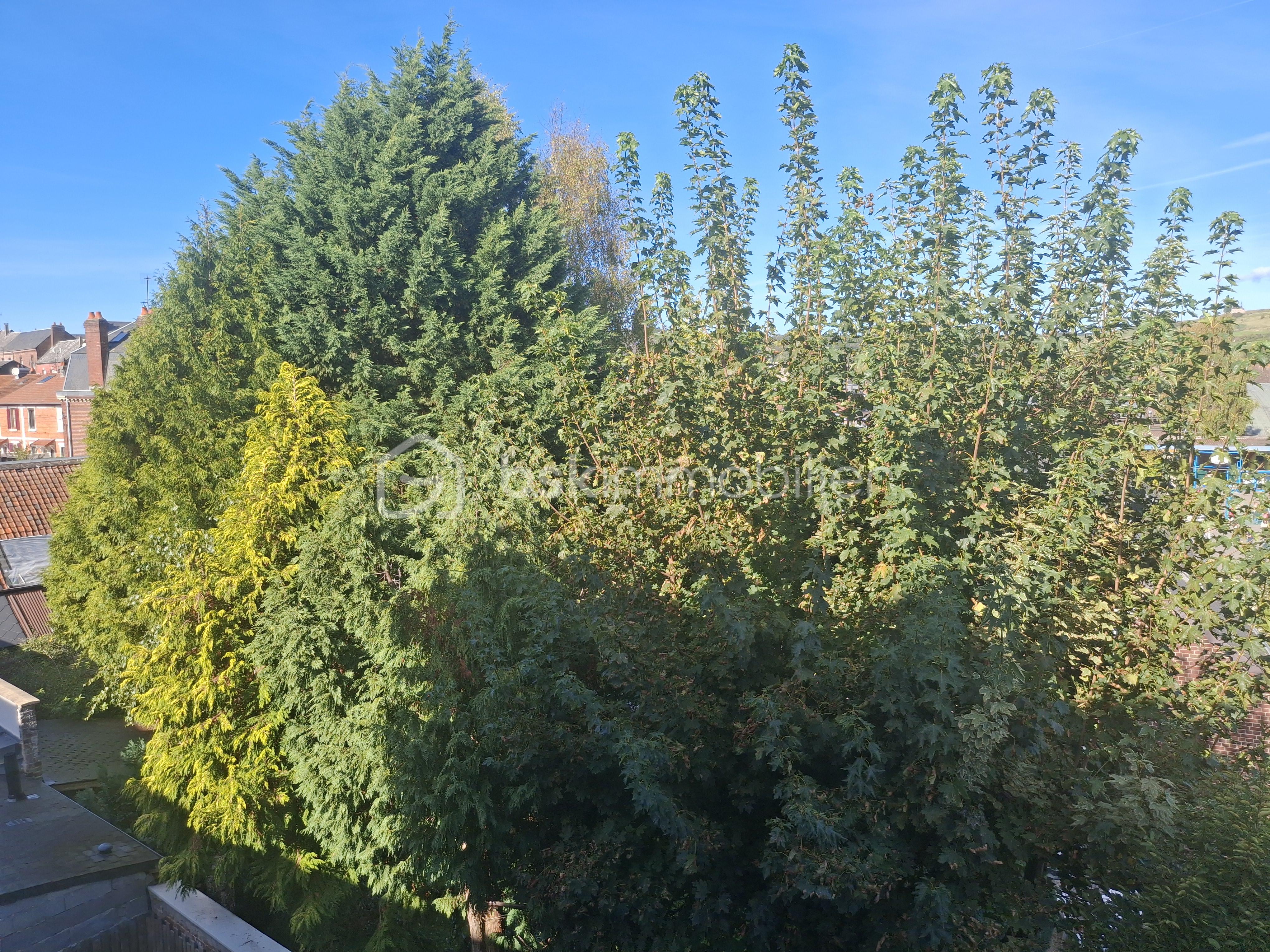 Vue depuis fenêtres SDD.png