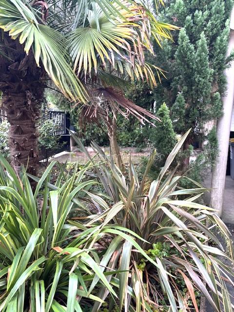 Maison de 114 m² - 11.jpg