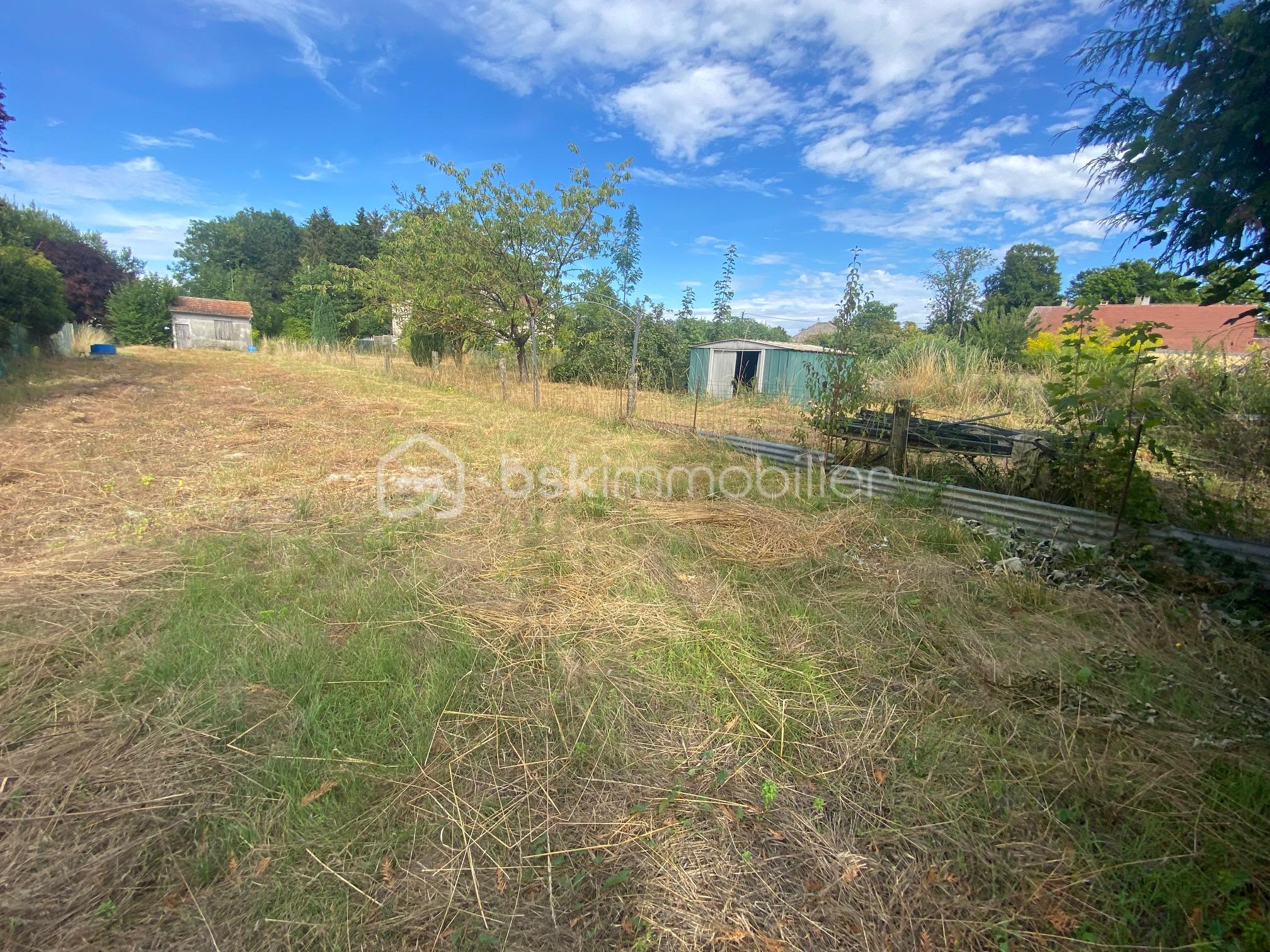 Terrain de 1 006 m² - IMG_5666.jpg
