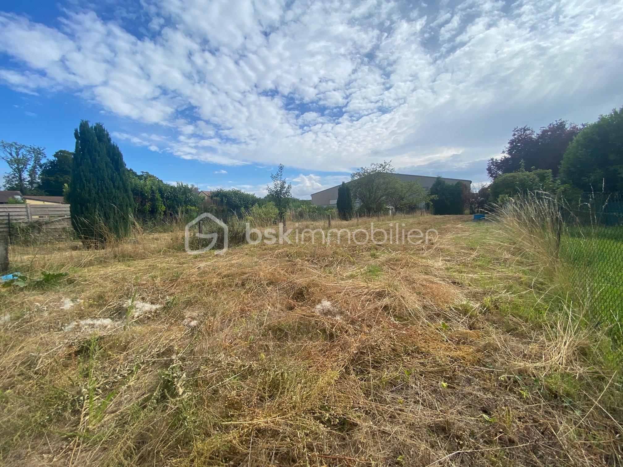 Terrain de 1 006 m² - IMG_5665.jpg