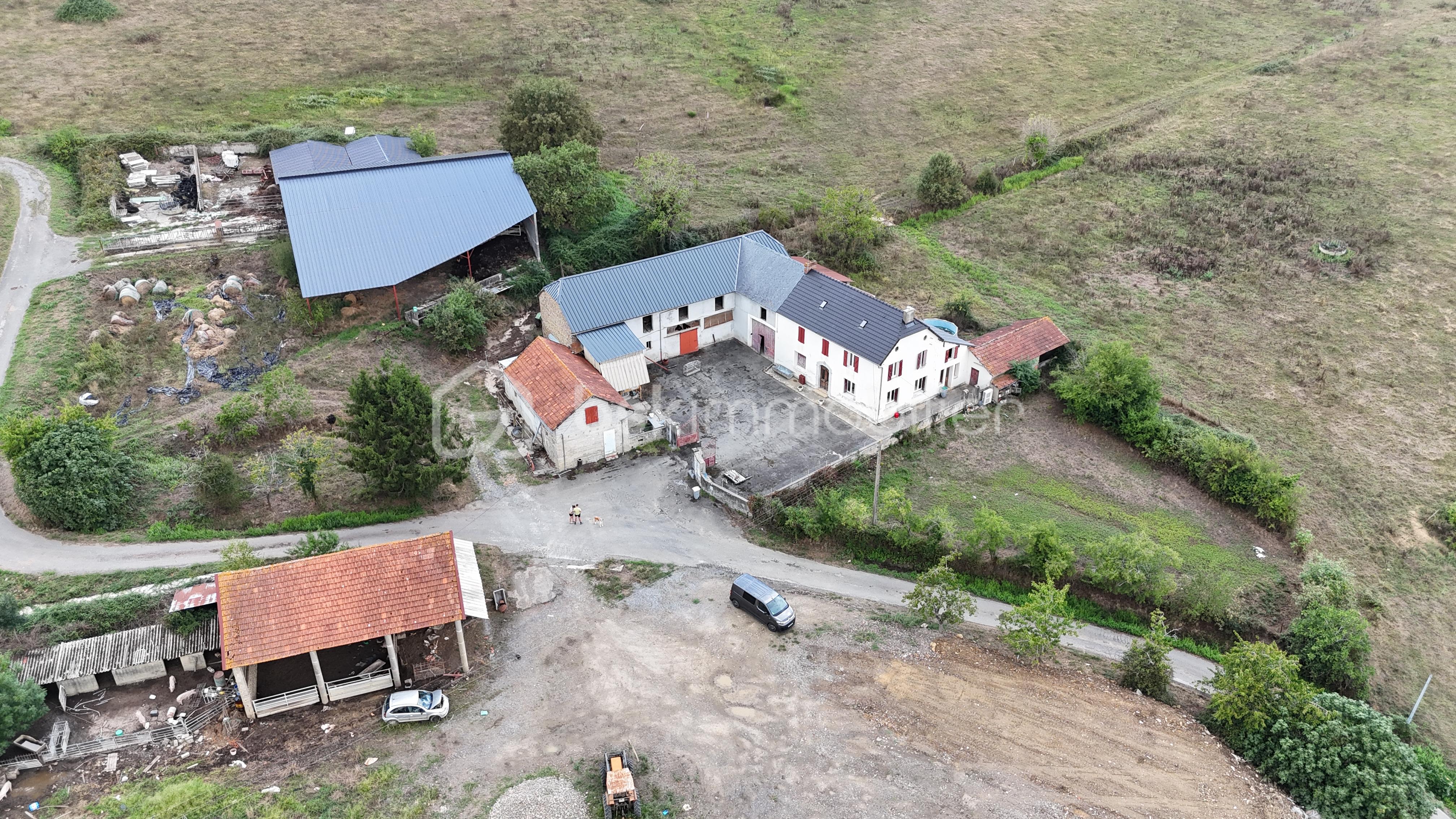 DJI_20260824143341_0057_D.JPG