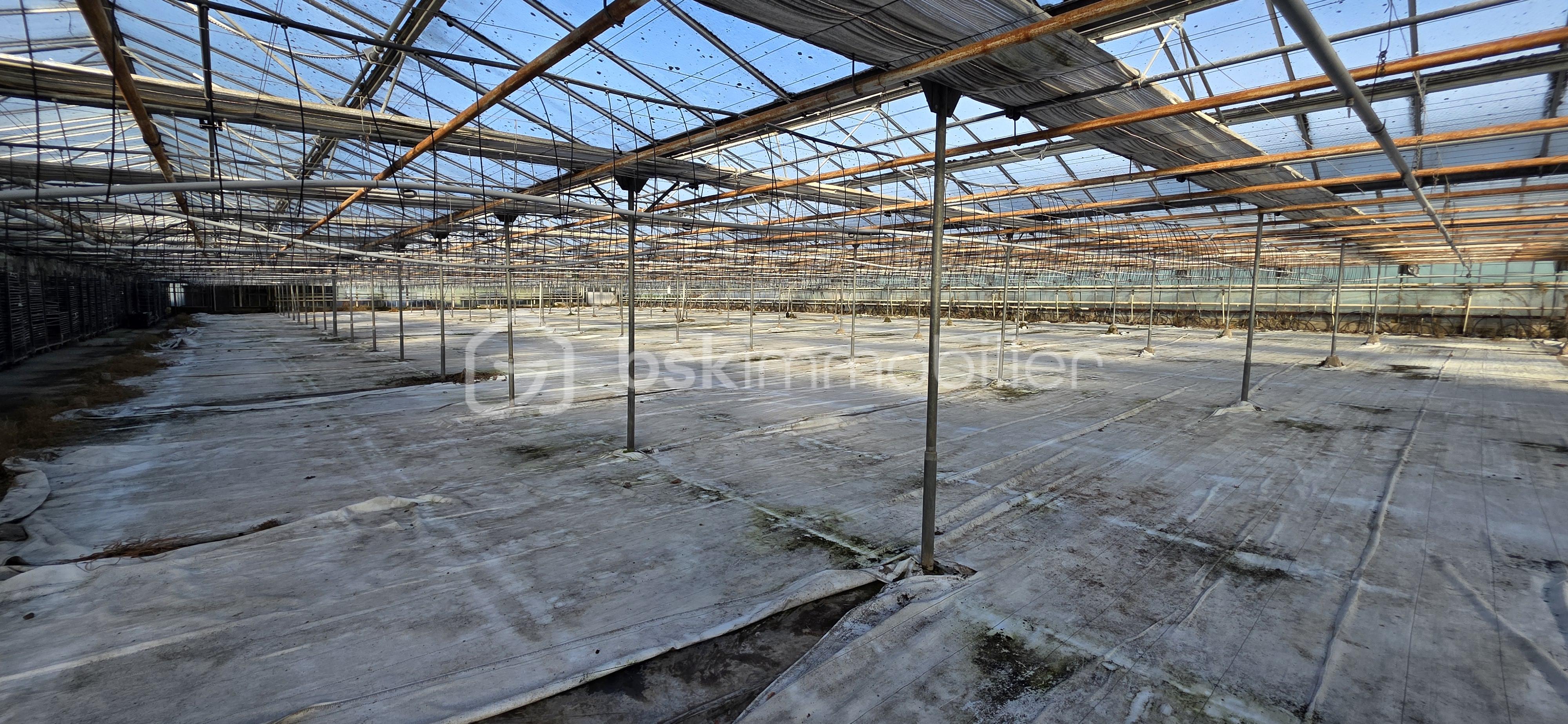 Terrain de 17 382 m² - 20260203_104301.jpg