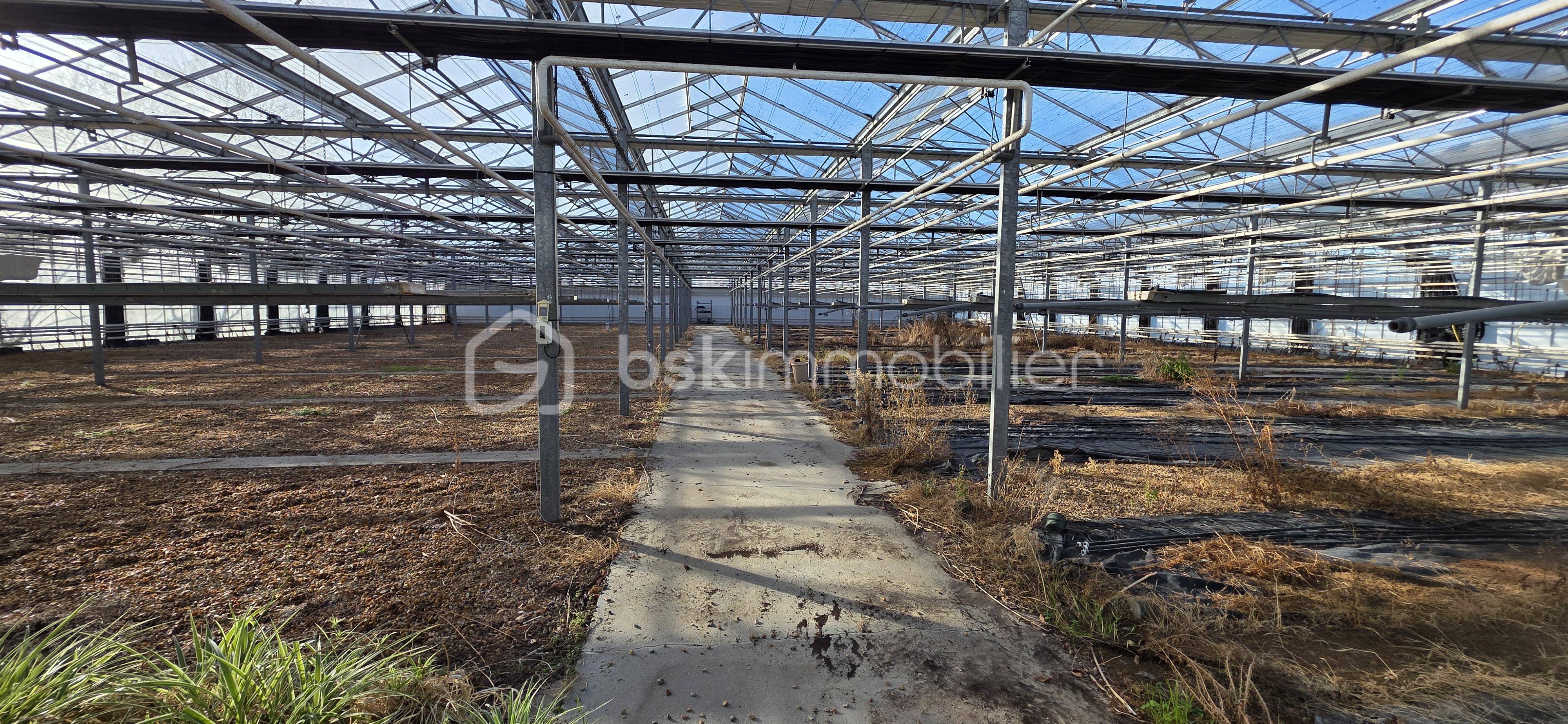 Terrain de 17 382 m² - 20260203_104647.jpg