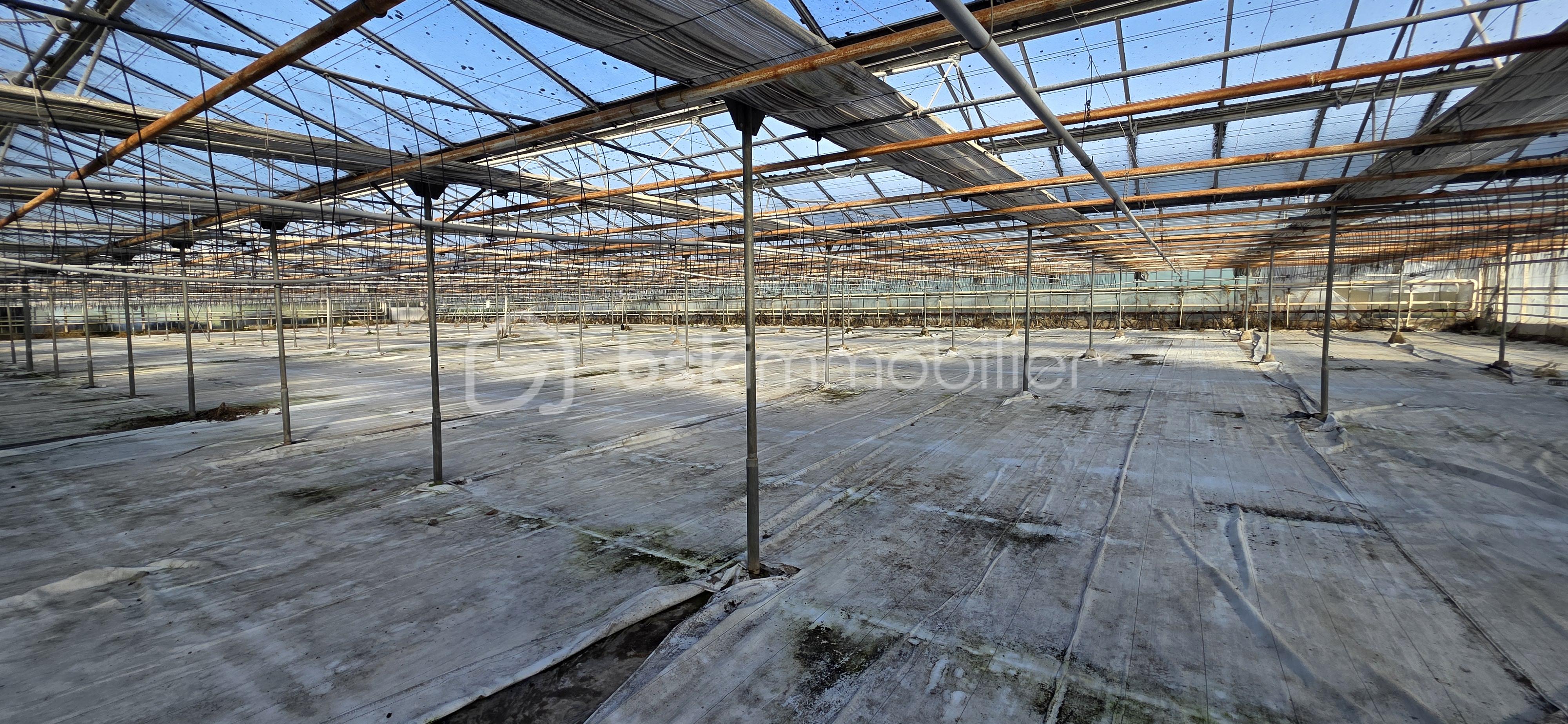 Terrain de 17 382 m² - 20260203_104304.jpg