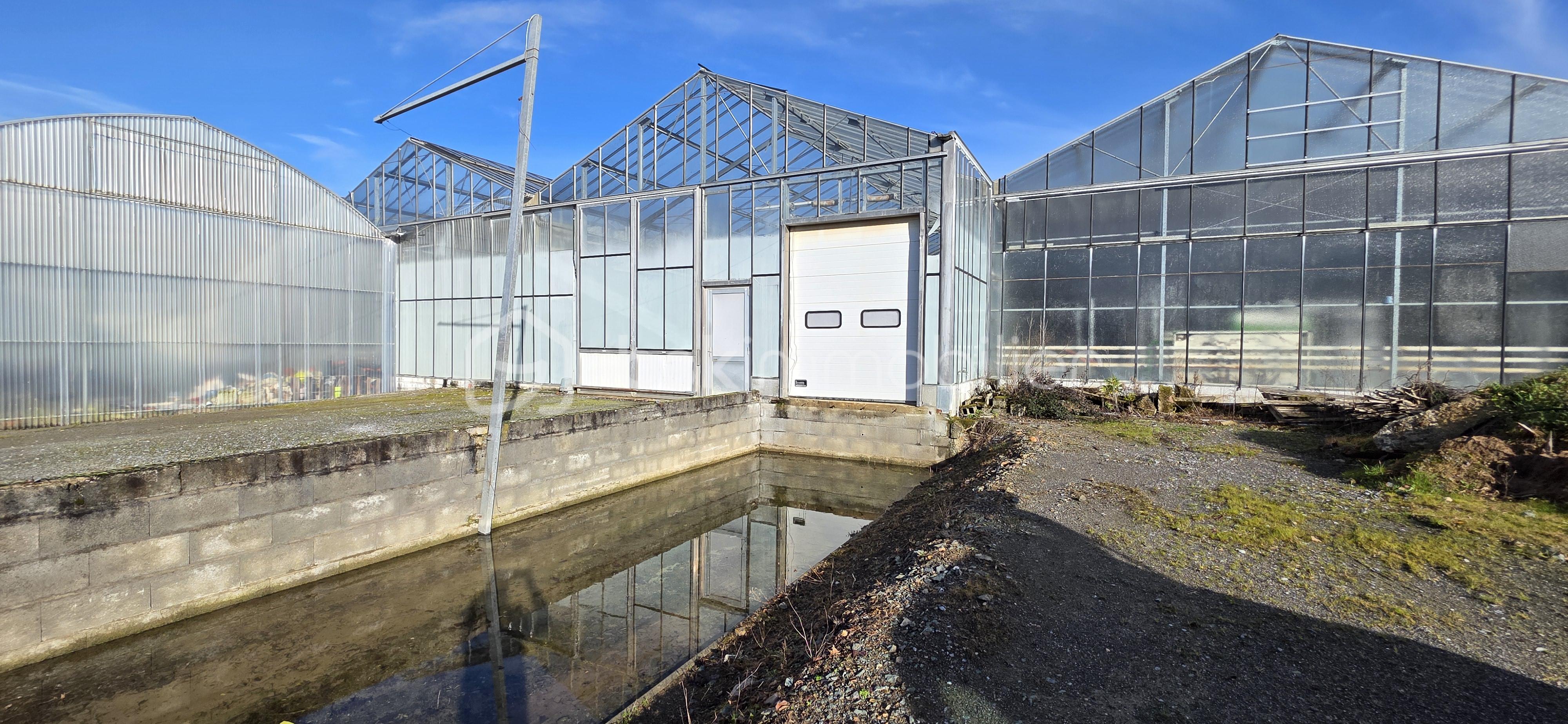 Terrain de 17 382 m² - 20260203_105724.jpg