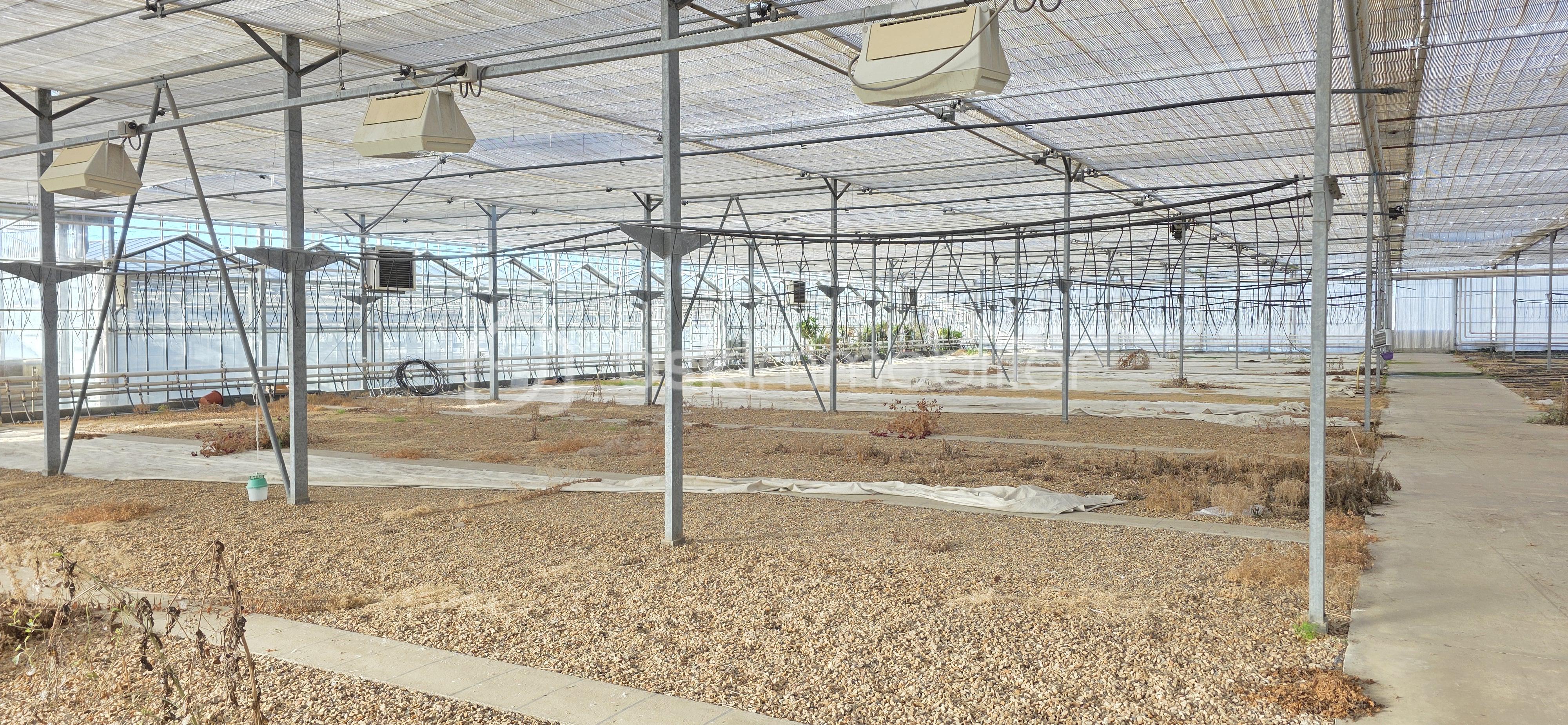 Terrain de 17 382 m² - 20260203_104442.jpg