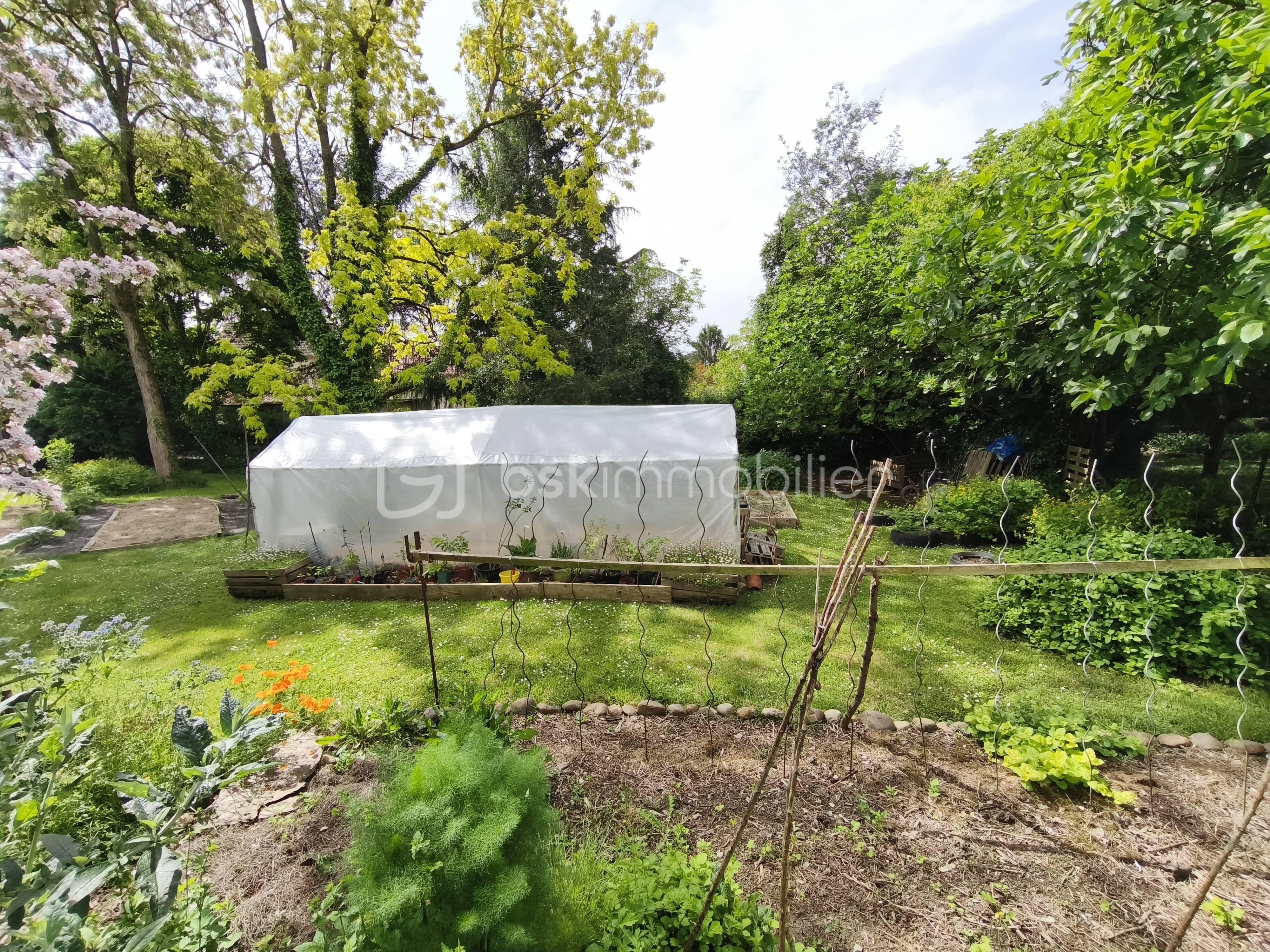 Maison ancienne de 225 m² - IMG_20250501_120629.jpg