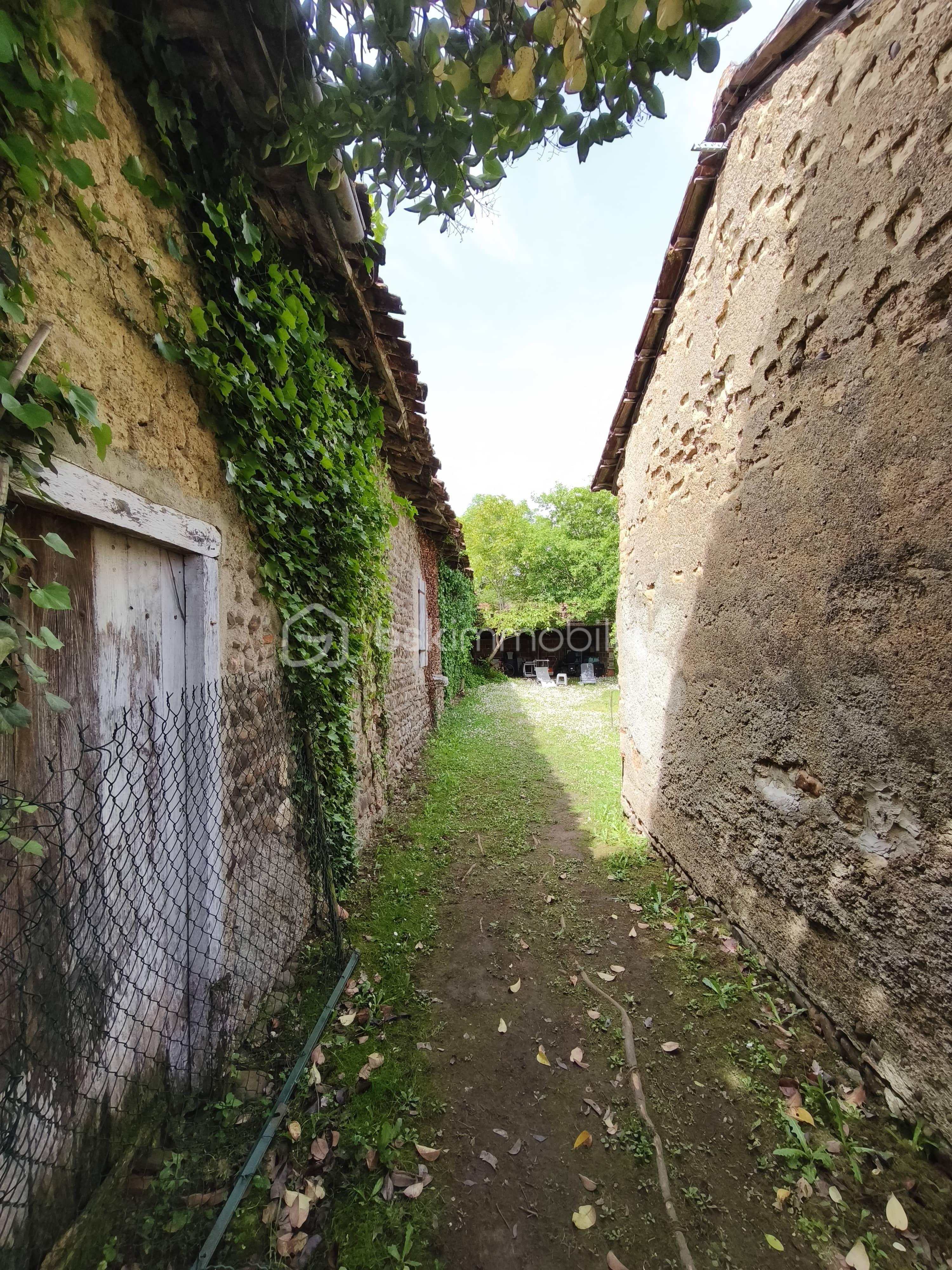 Maison ancienne de 225 m² - IMG_20250501_121728.jpg